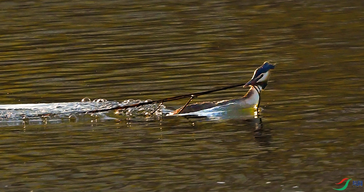 DSC_8237.JPG