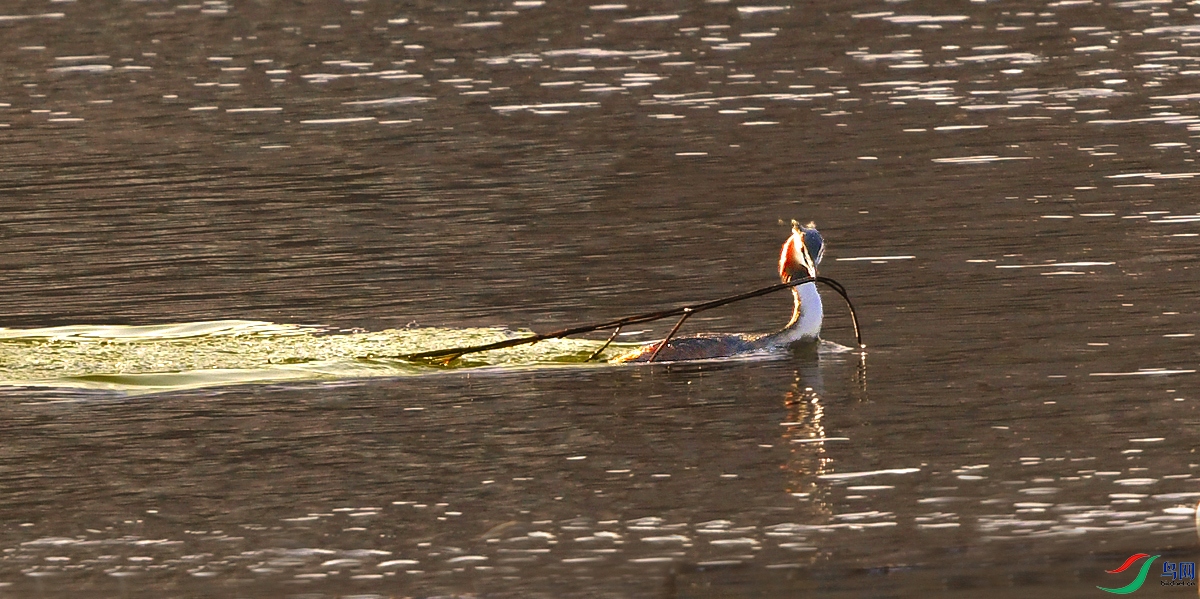 DSC_8240.JPG