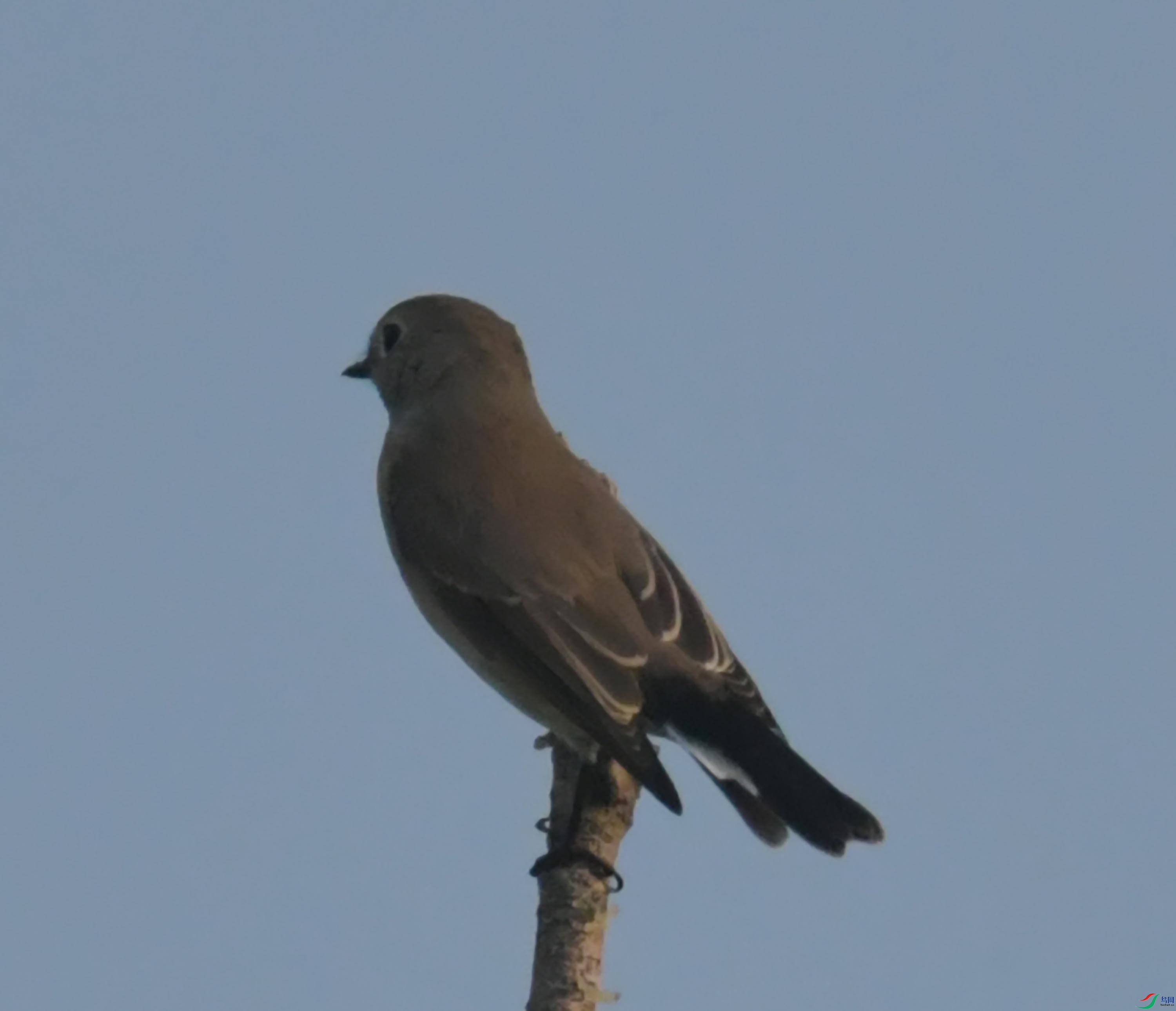 DSC_0881.JPG