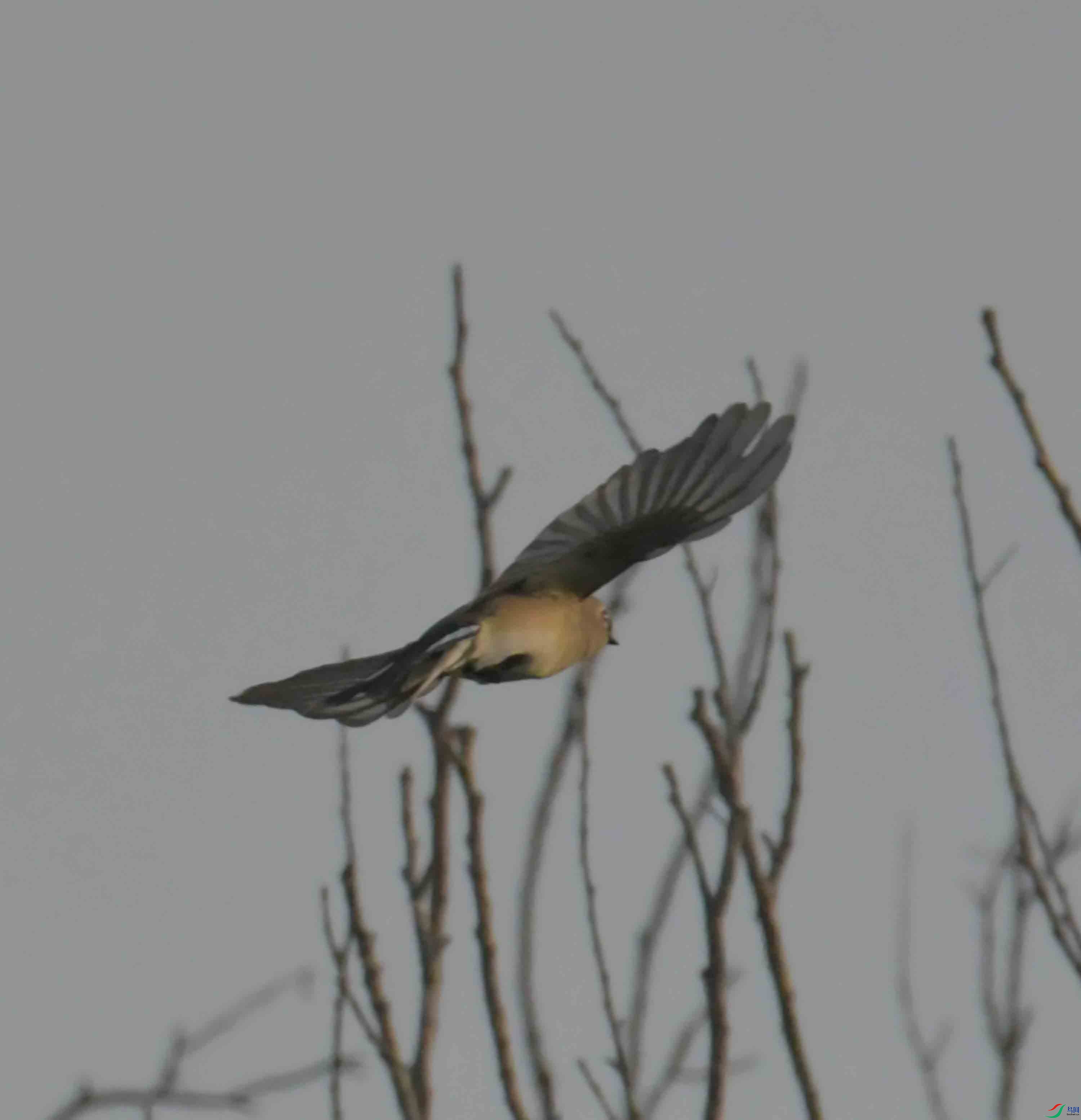 DSC_0878.JPG