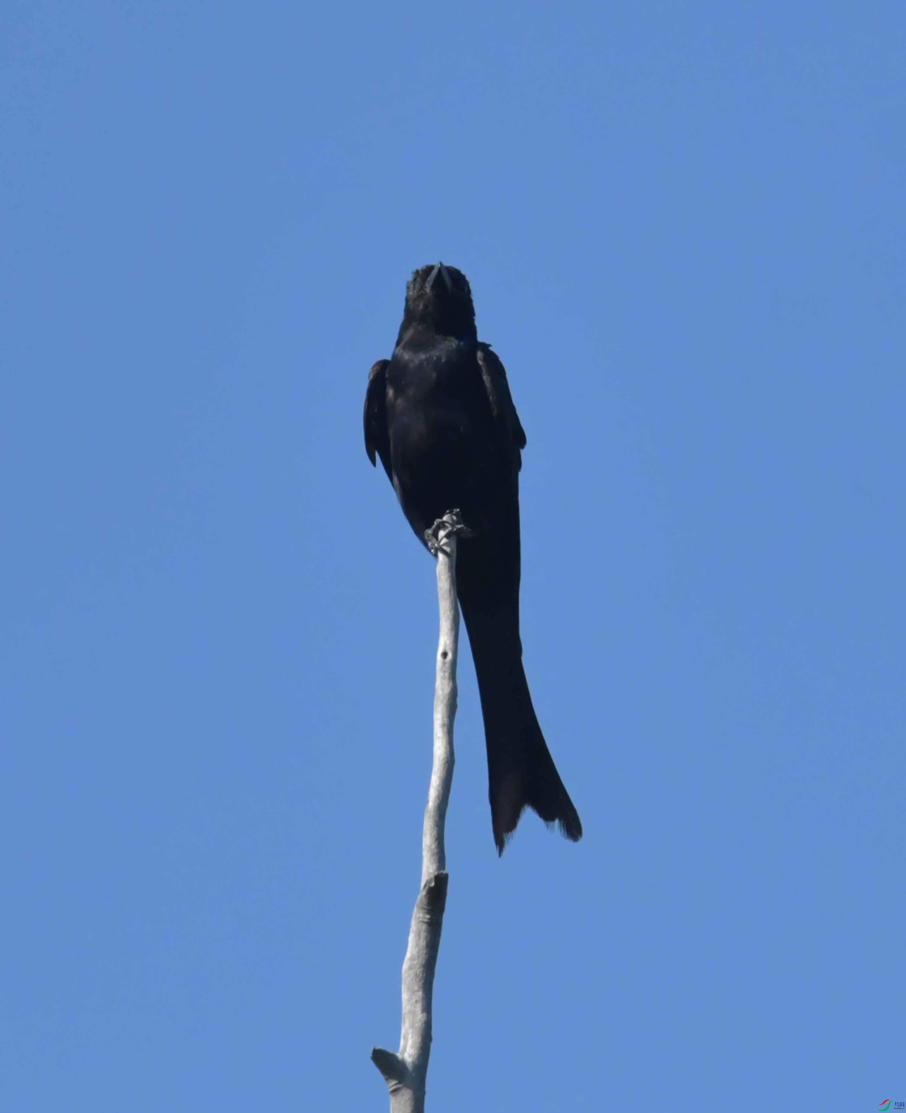 DSC_8700.JPG