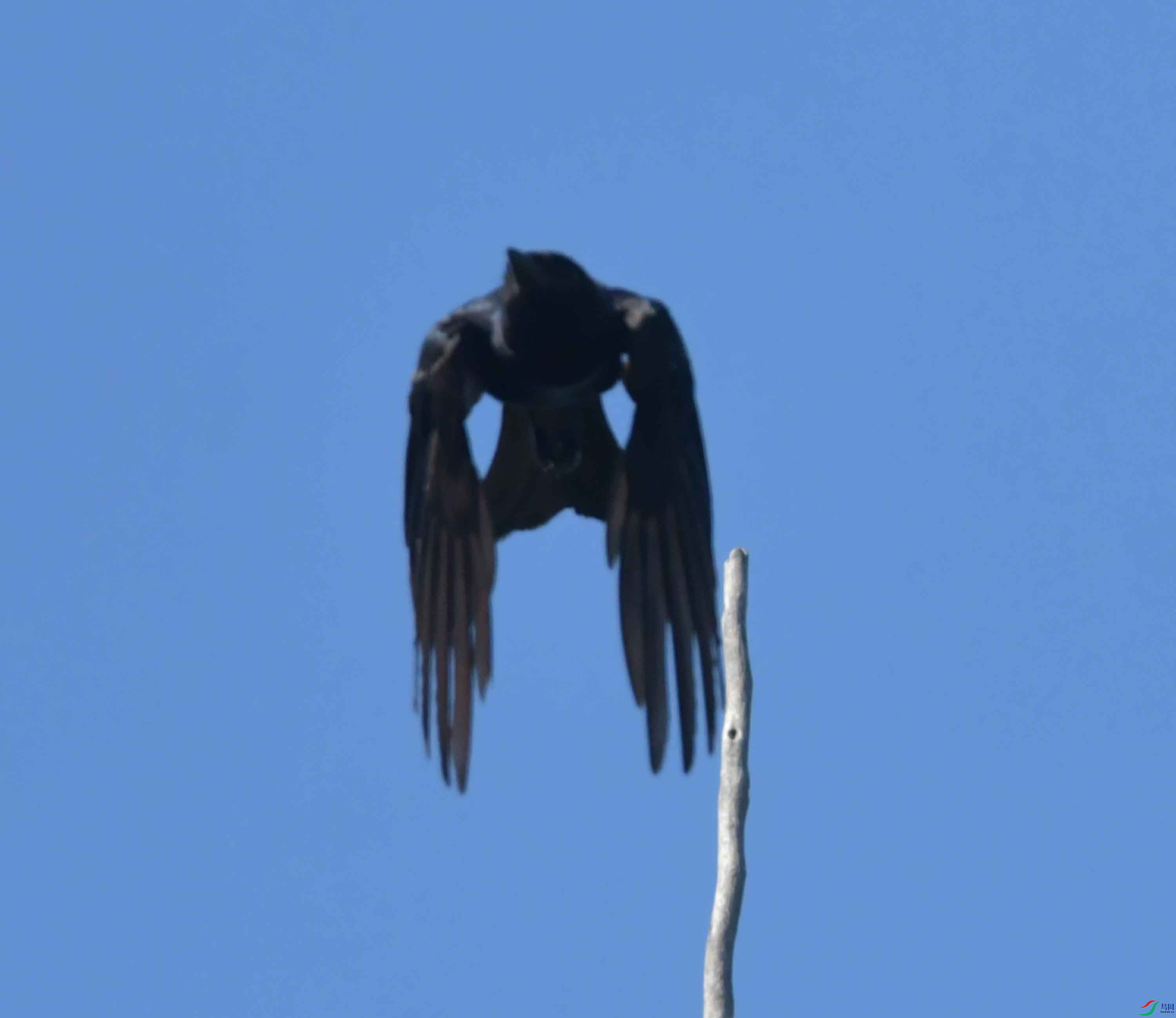 DSC_8704.JPG