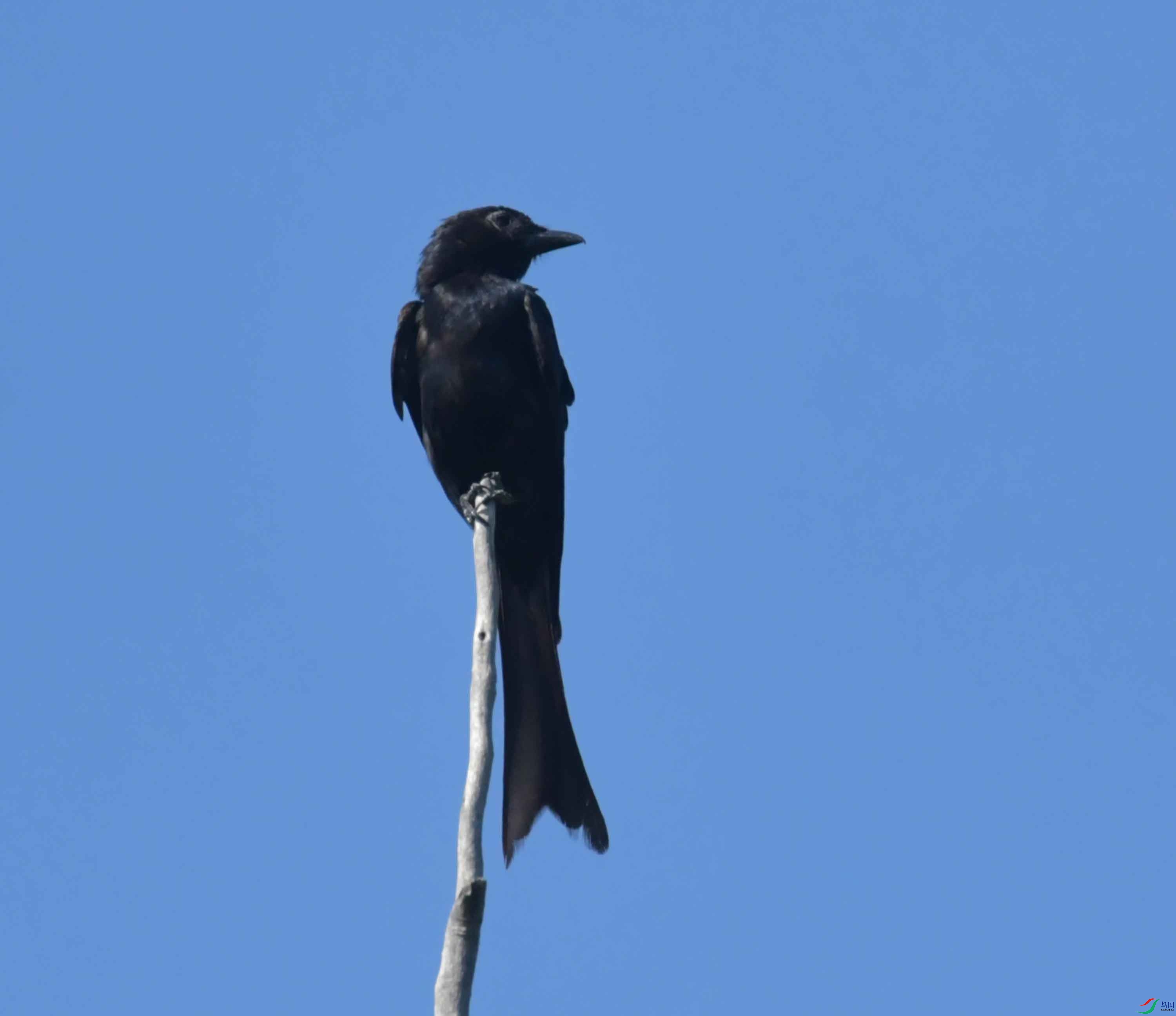 DSC_8701.JPG