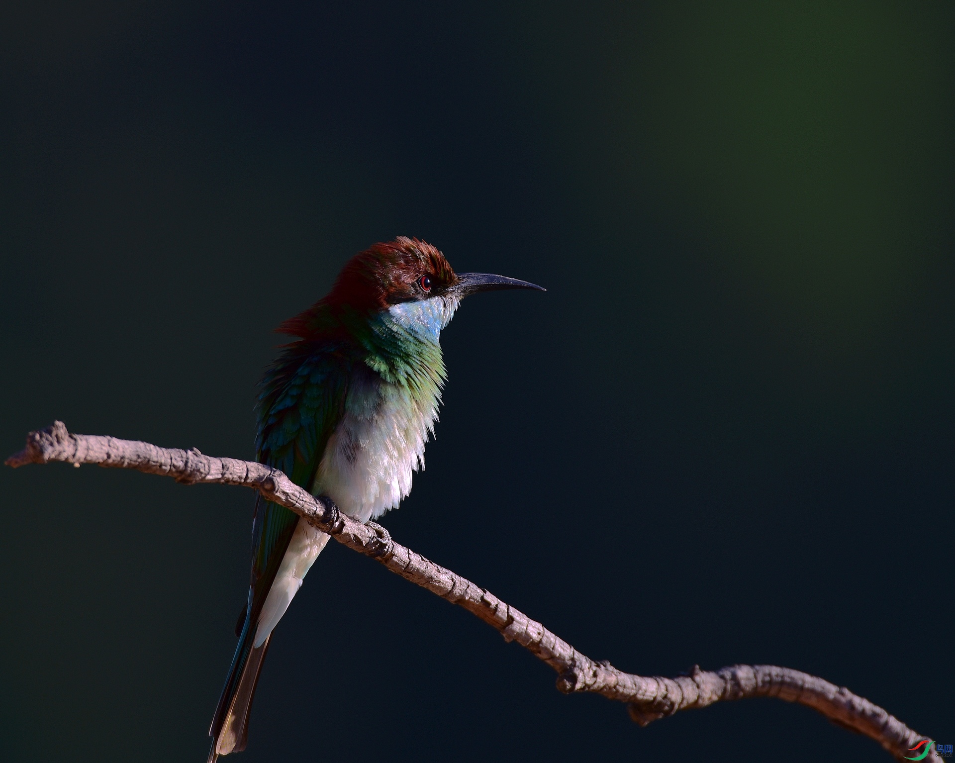 D8I_3698.jpg