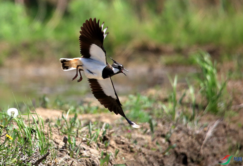 ��ͷ��14���ù���.jpg