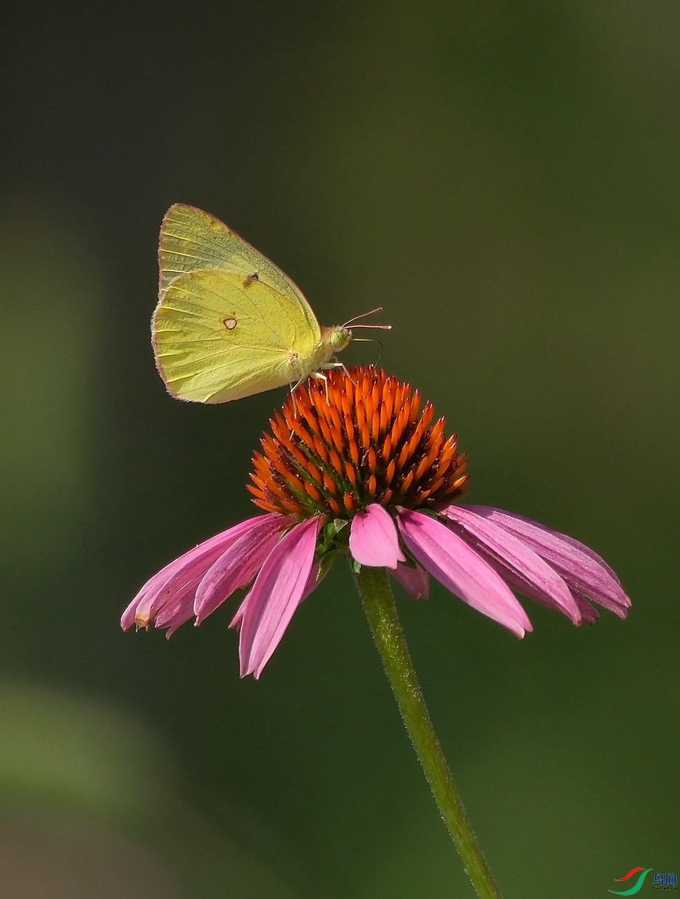 DSCF6152.JPG