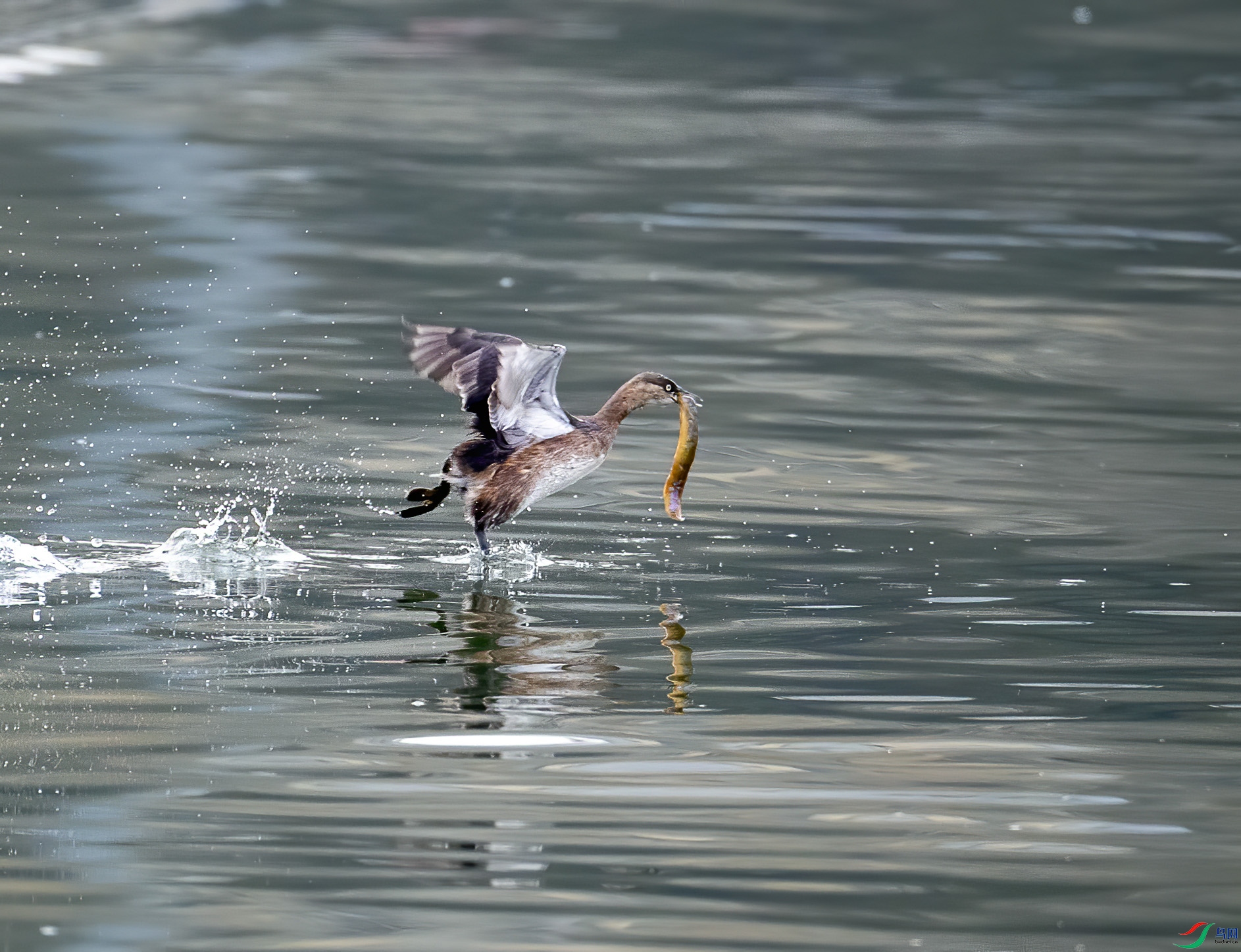 IMG_5876.jpg