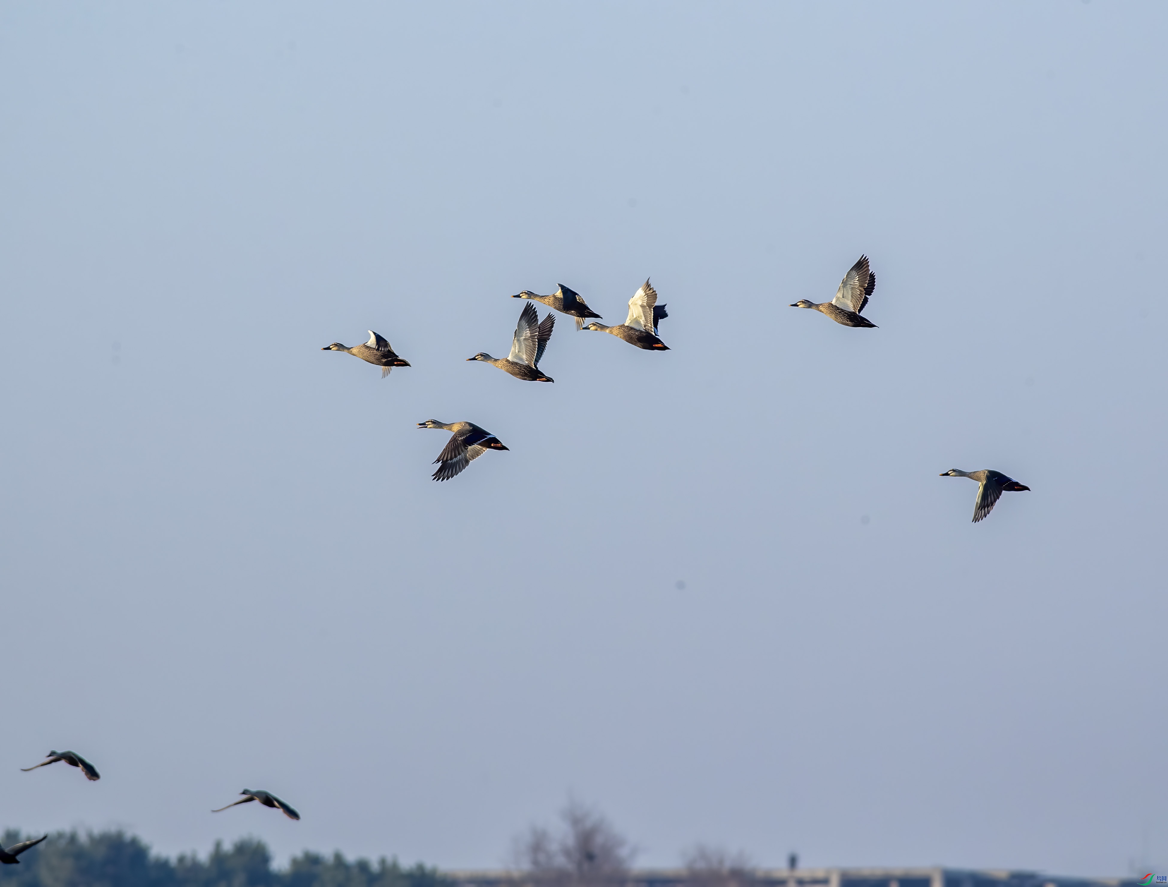 IMG_4175.jpg