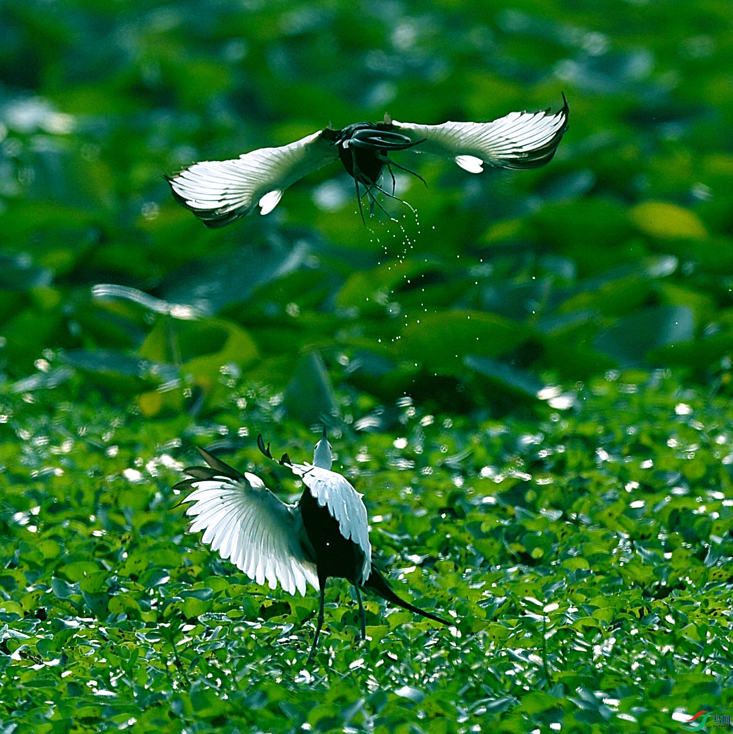 DSC_5513.jpg