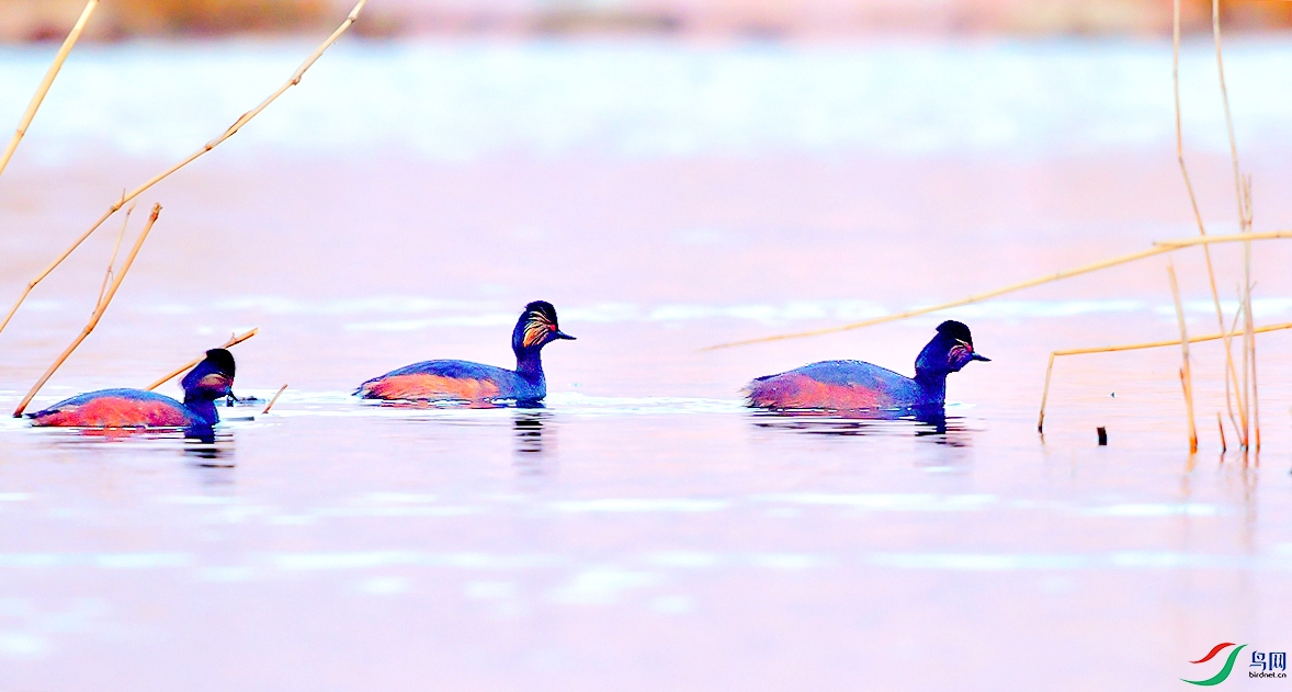 DSC_3478.JPG