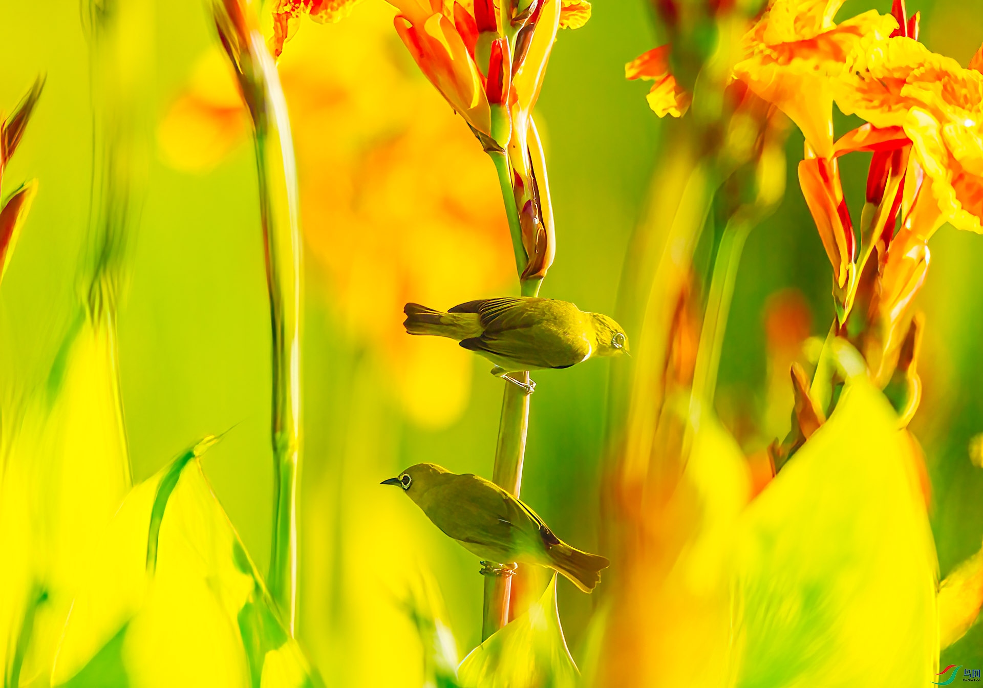 DSC_4446 ����.jpg