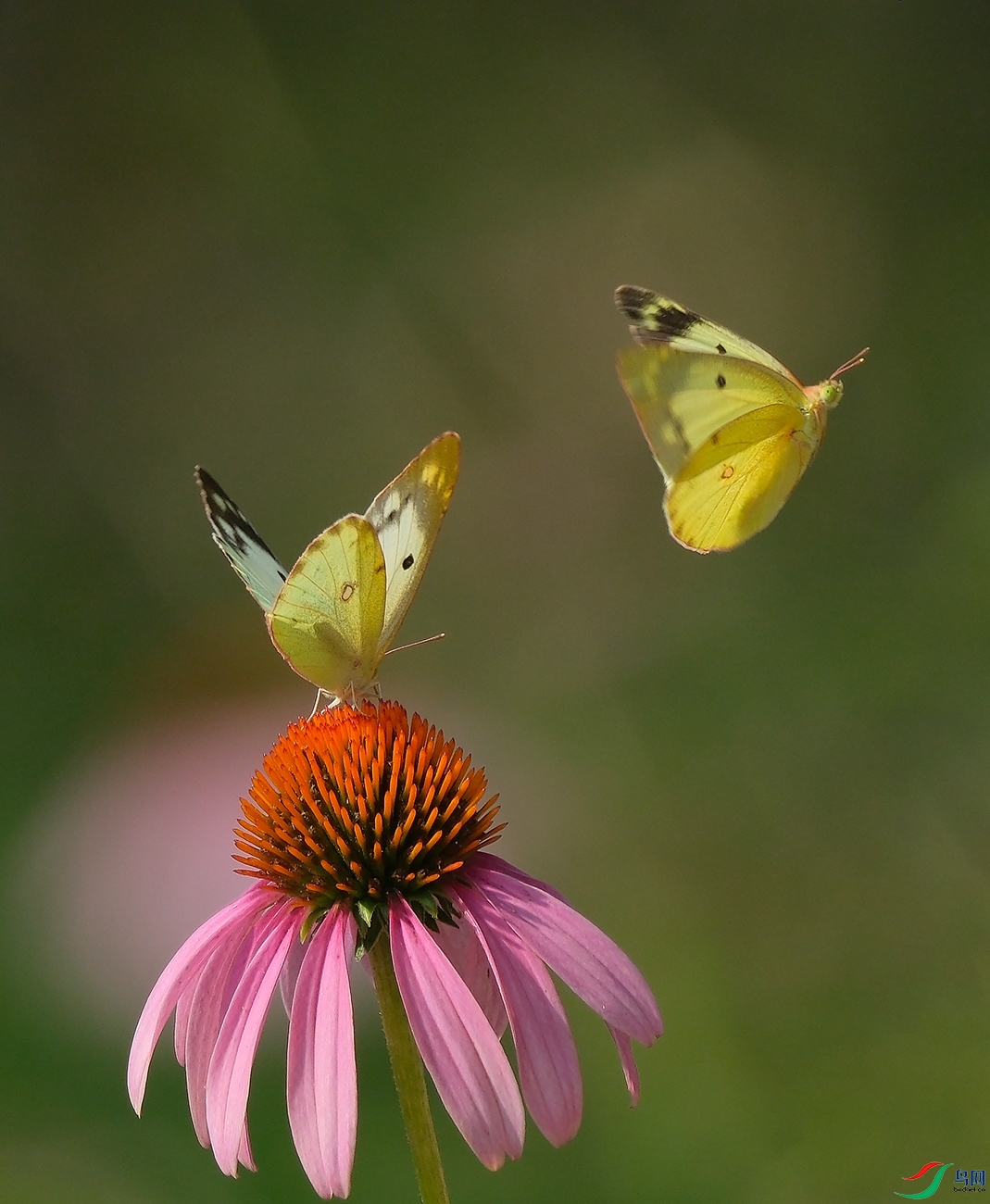 DSCF6210.JPG