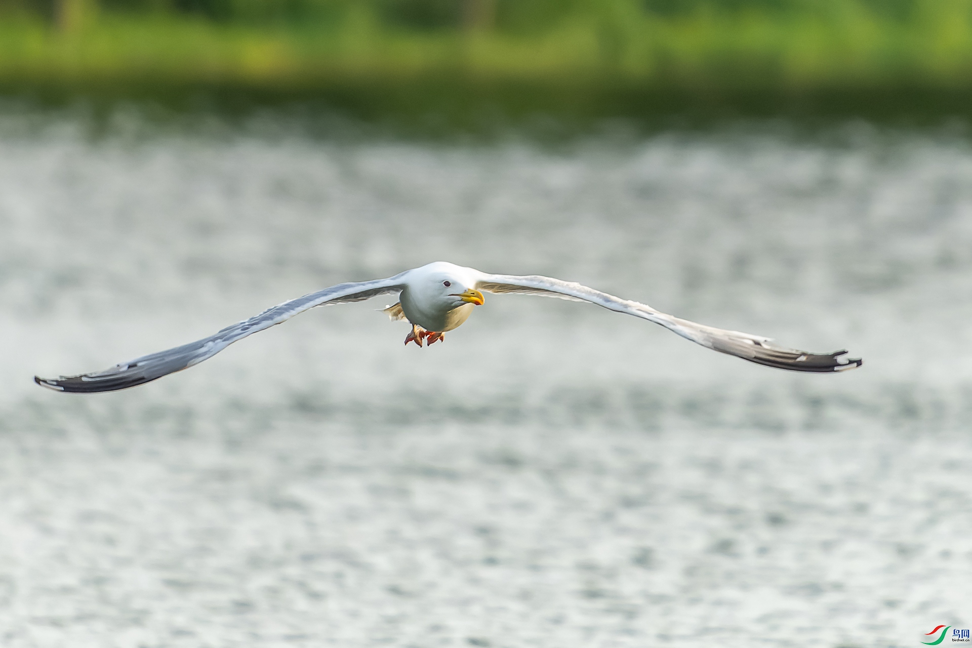 DSC02987-ARW_DxO_DeepPRIME-1.jpg
