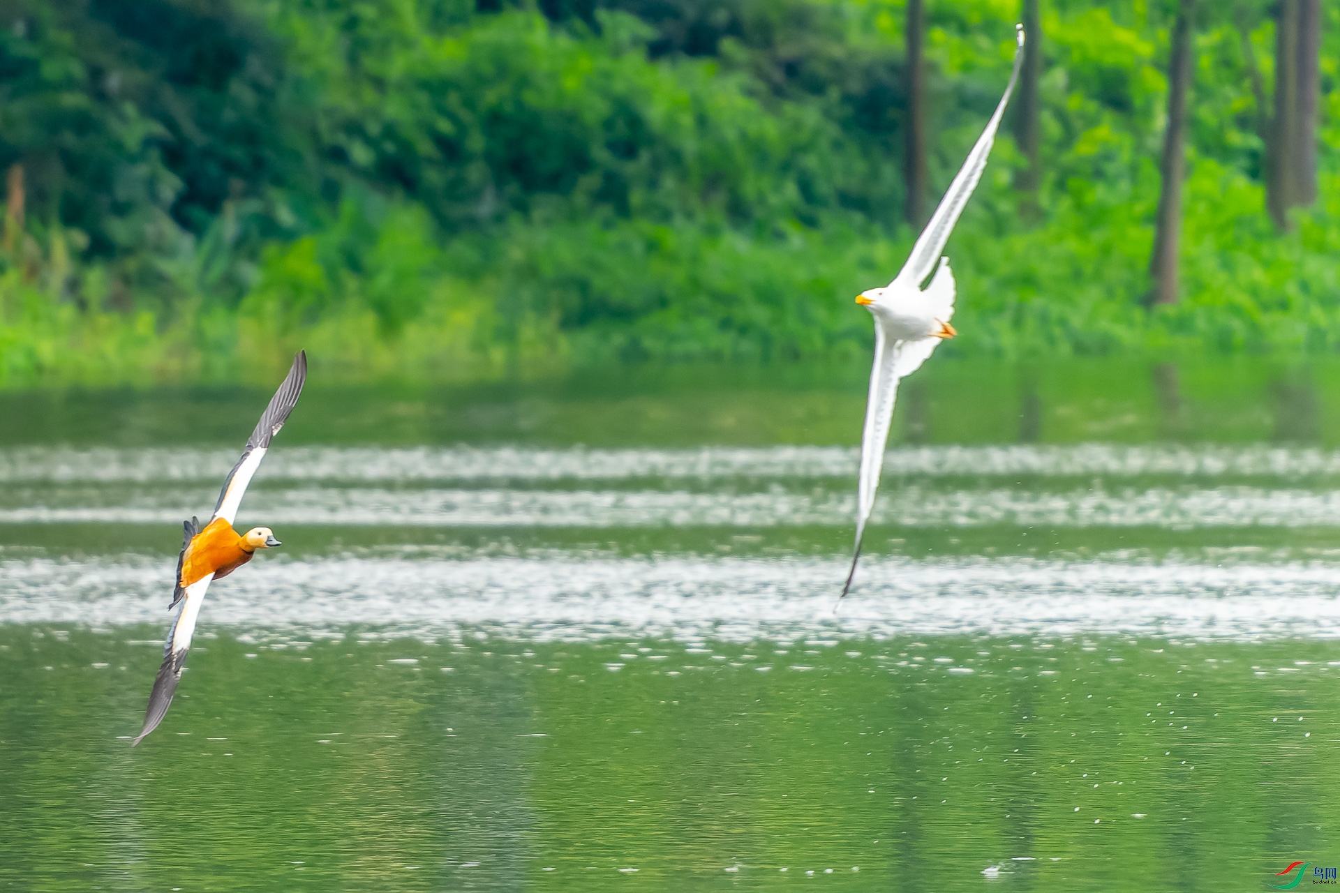 DSC02658-ARW_DxO_DeepPRIME-1.jpg