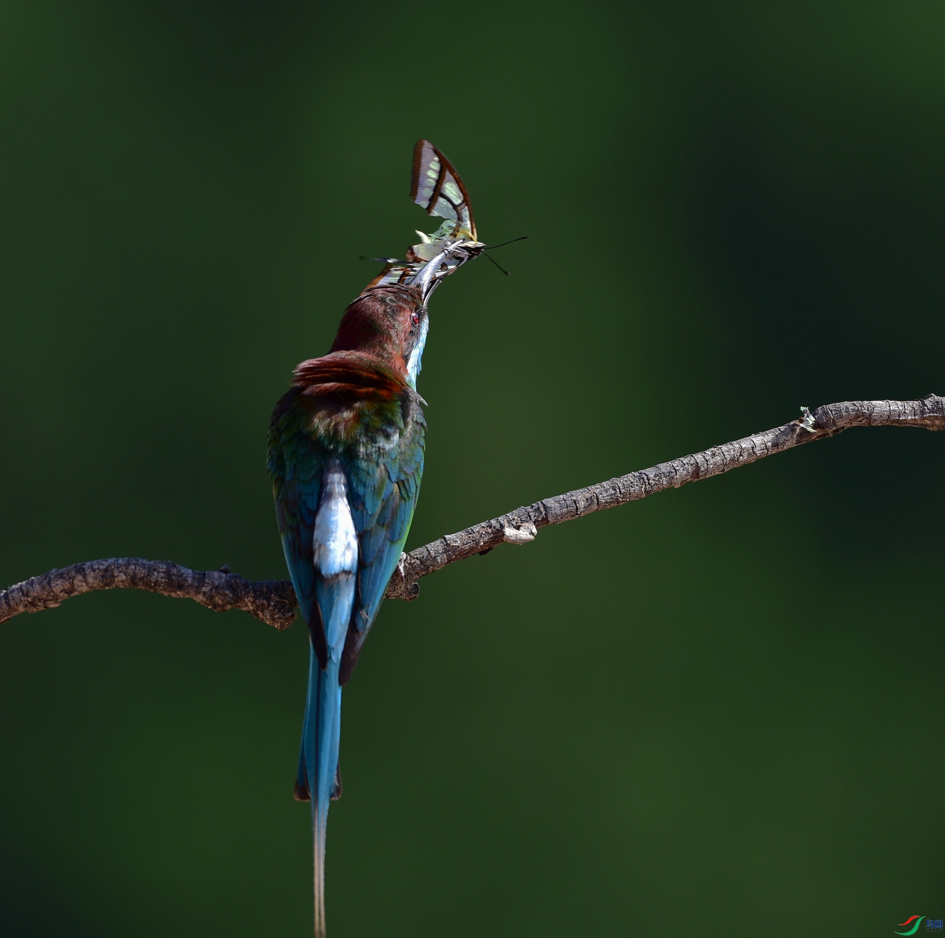 D8I_0044.jpg