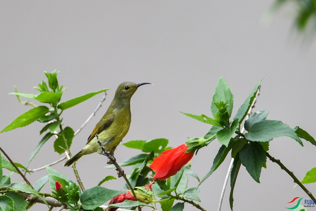DSC_4930.jpg