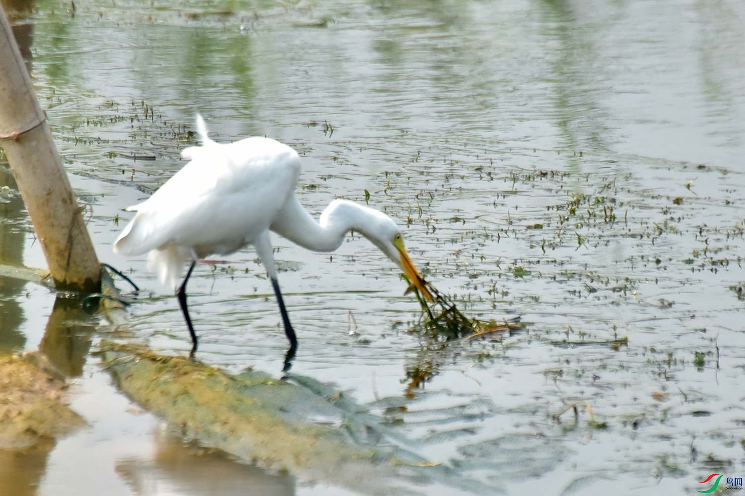DSC_5844.JPG