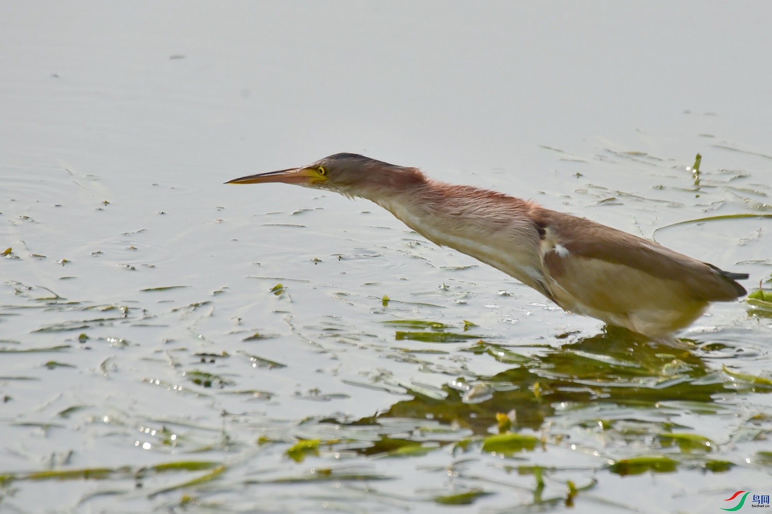 DSC_8811.JPG