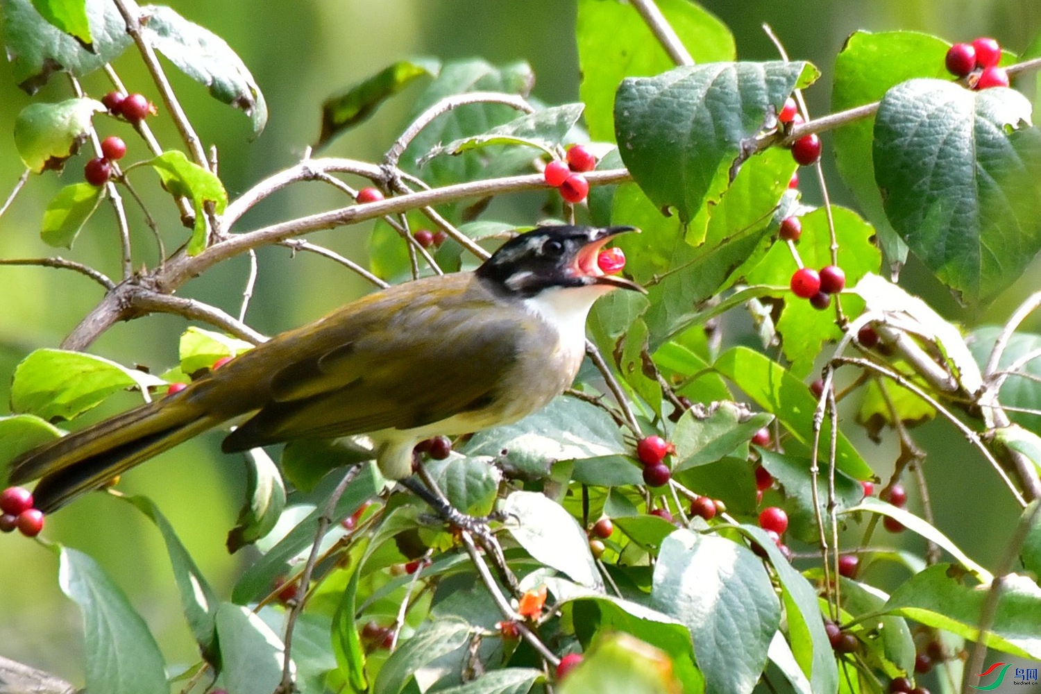 DSC_0612.JPG