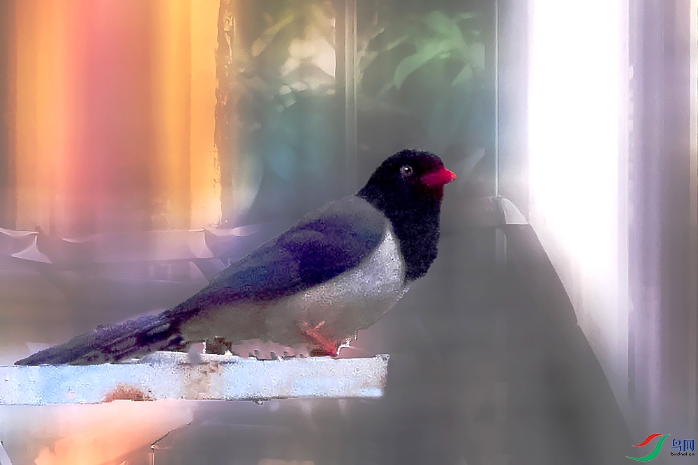 DSC04064.jpg