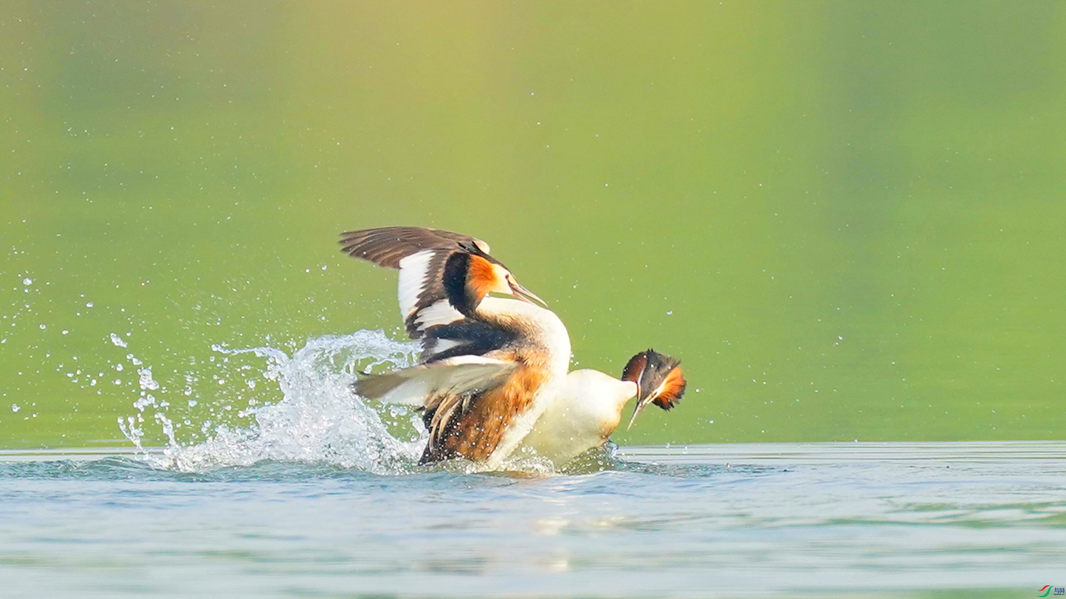 DSC02088_���� (2).jpg