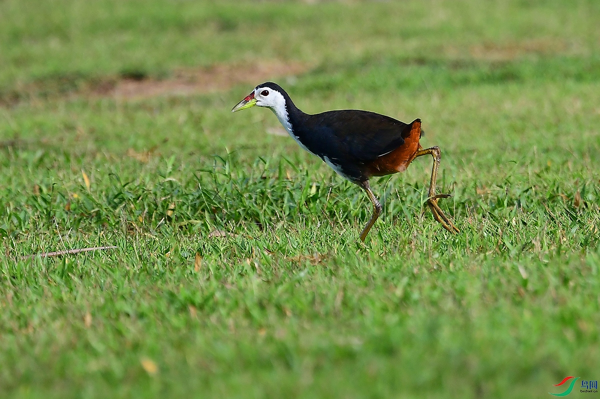 DSC_8762.JPG