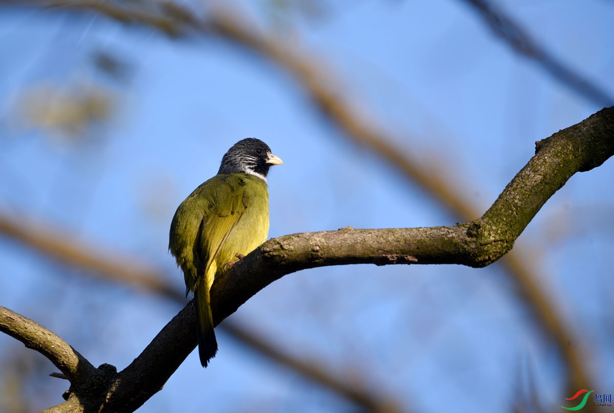 DSC_5554.JPG