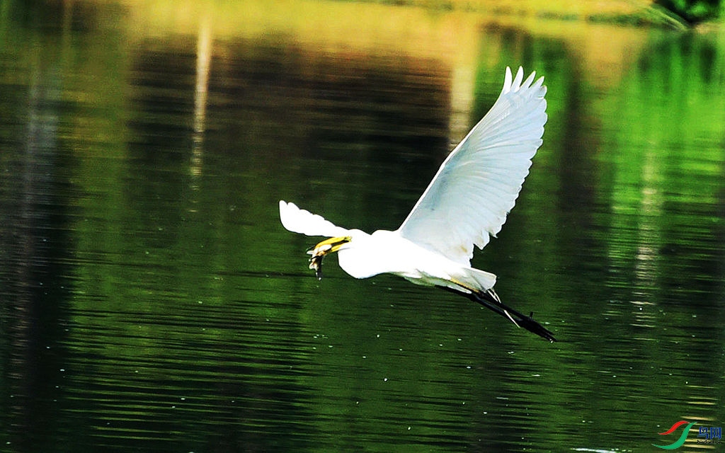 500 (150)_����.jpg