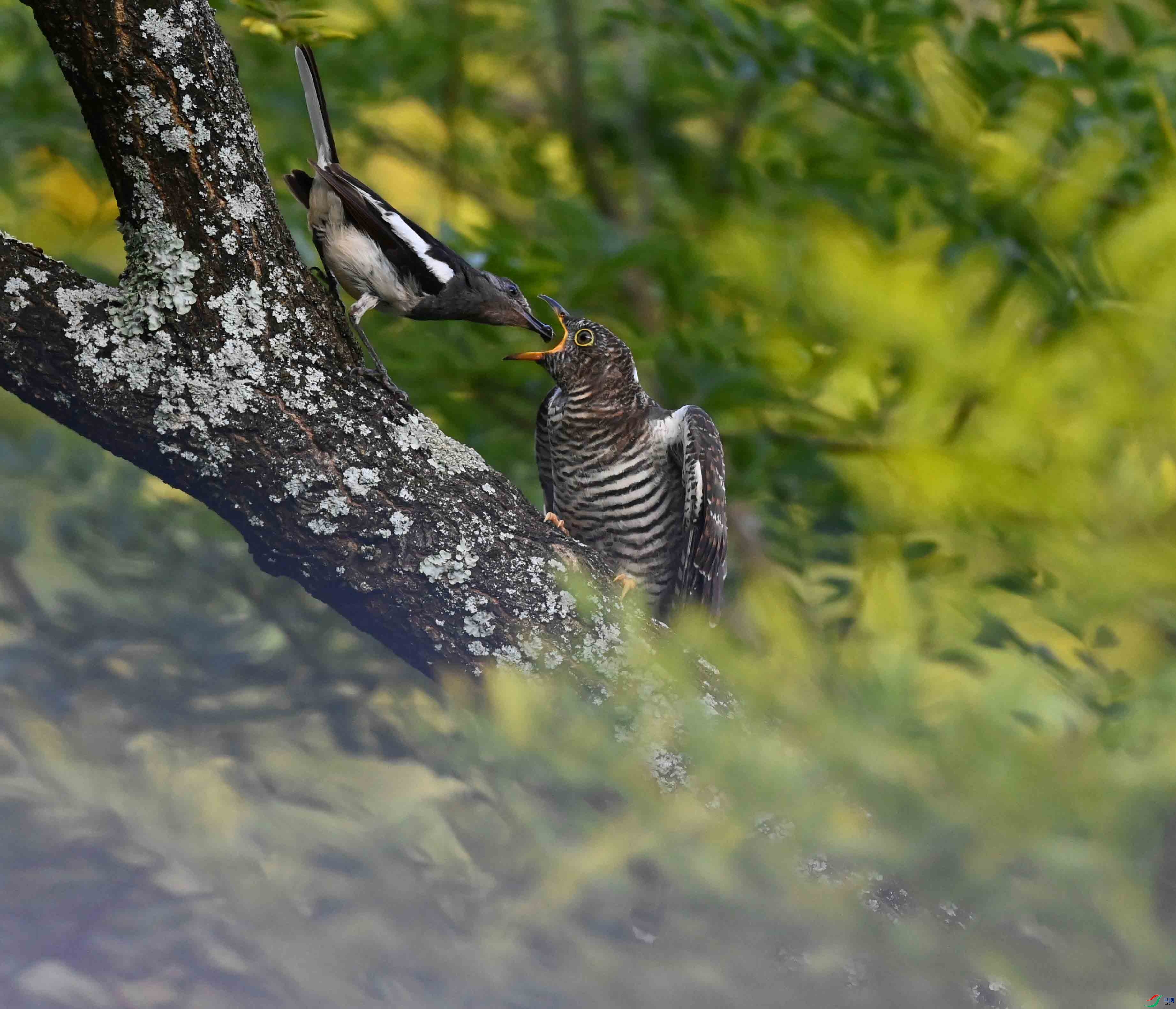 ȸ𶲸���ž�����