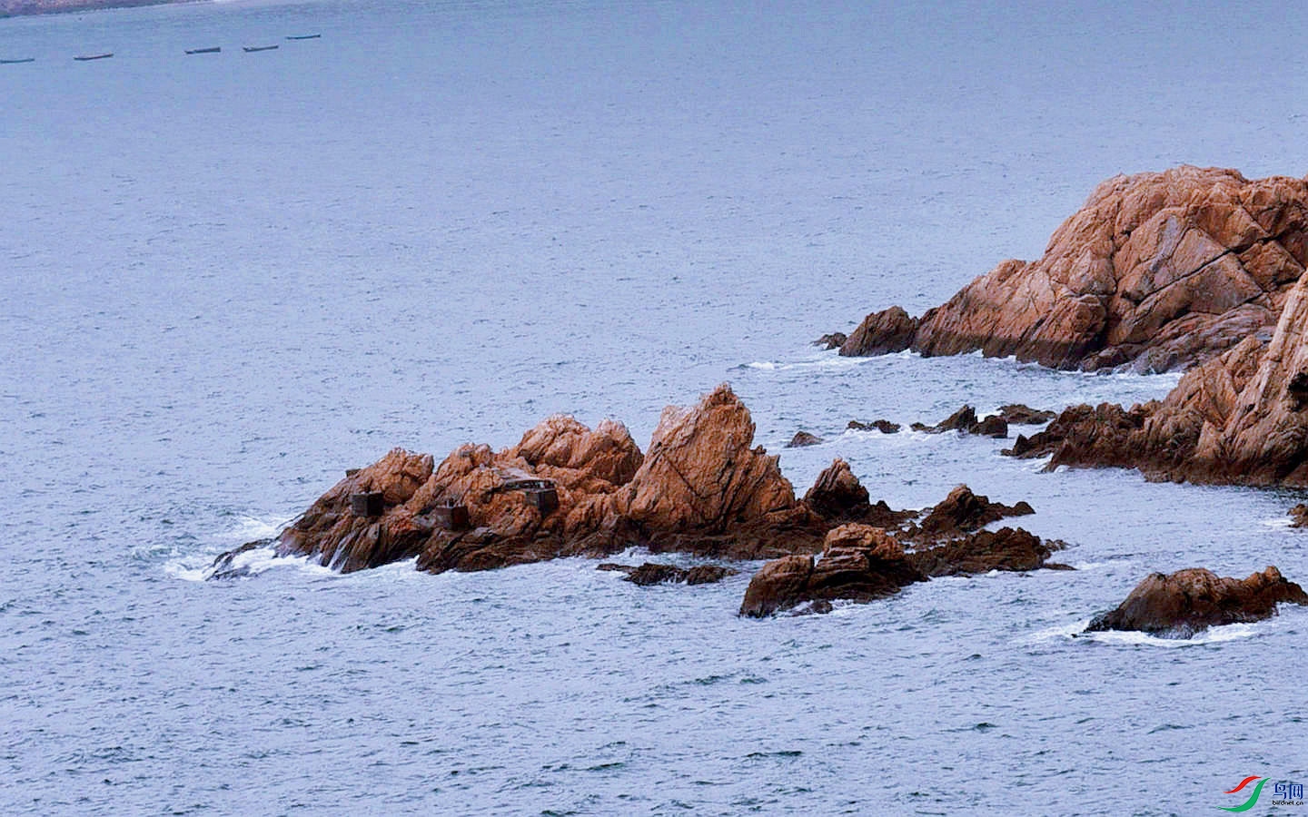 831 (76)_����.jpg