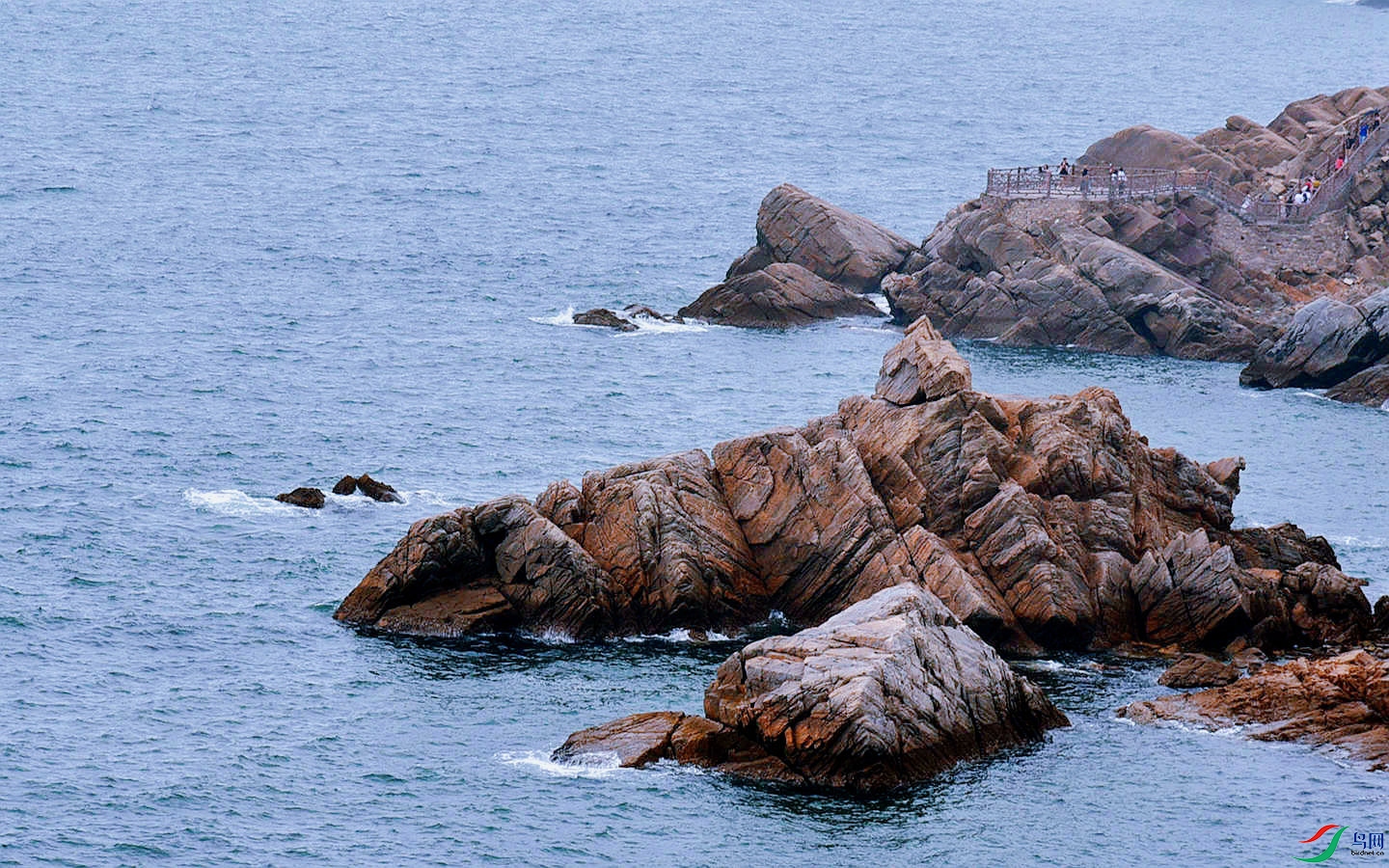 831 (77)_����.jpg