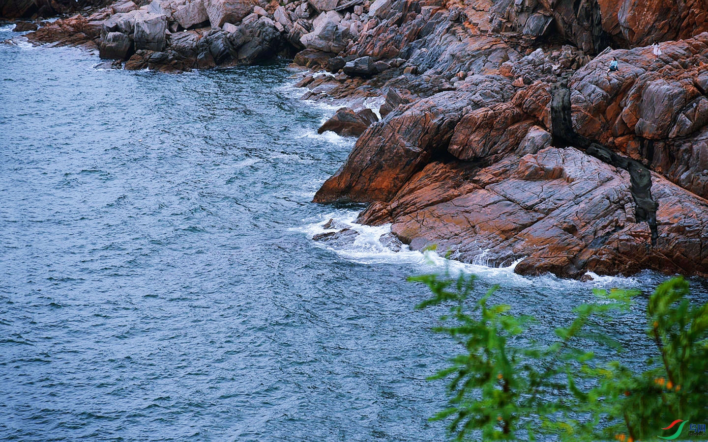 831 (79a)_����.jpg