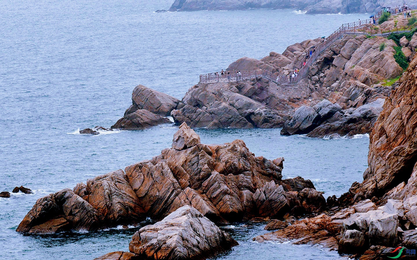 831 (80)_����.jpg