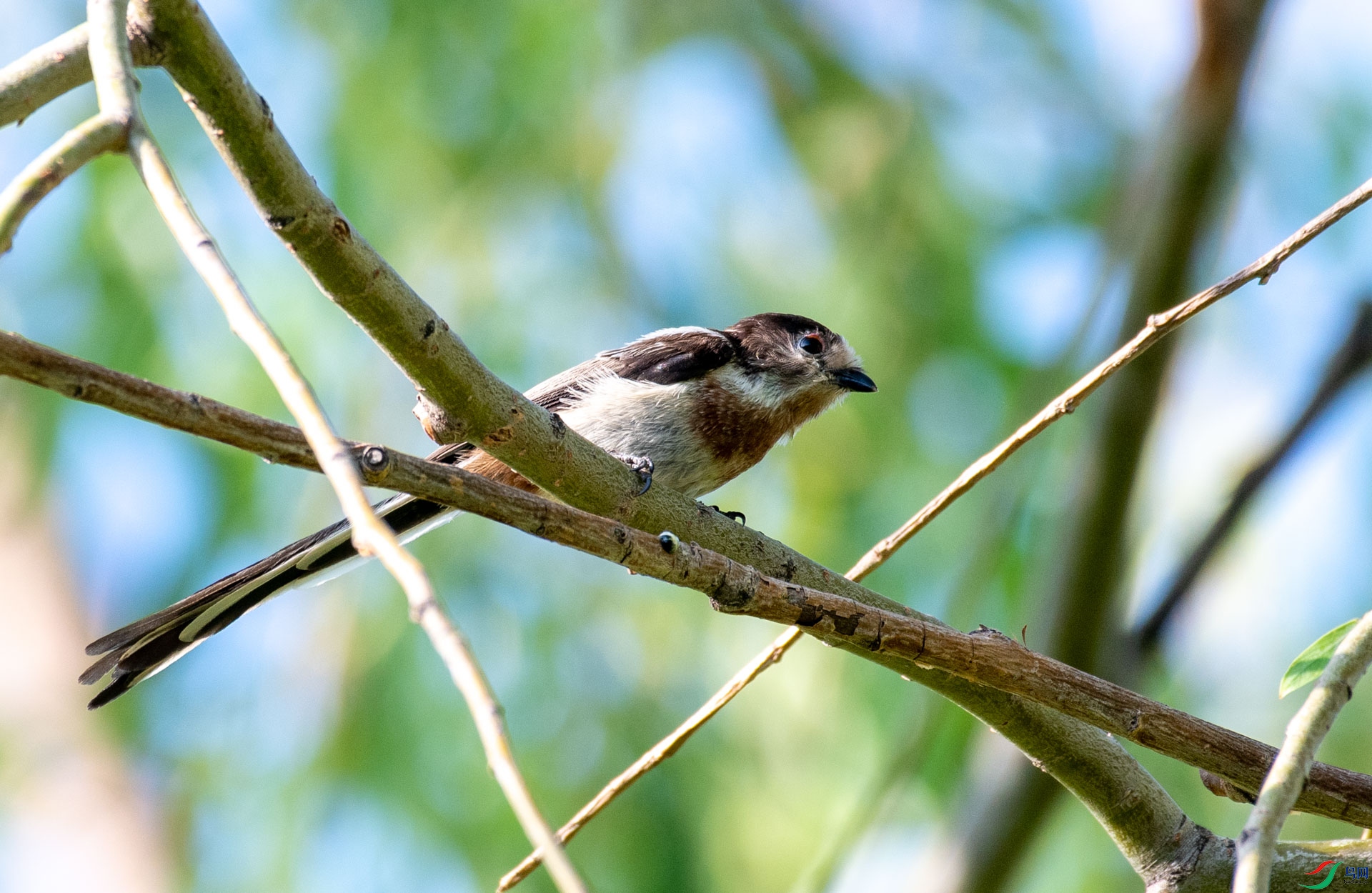 DSC_6056.jpg