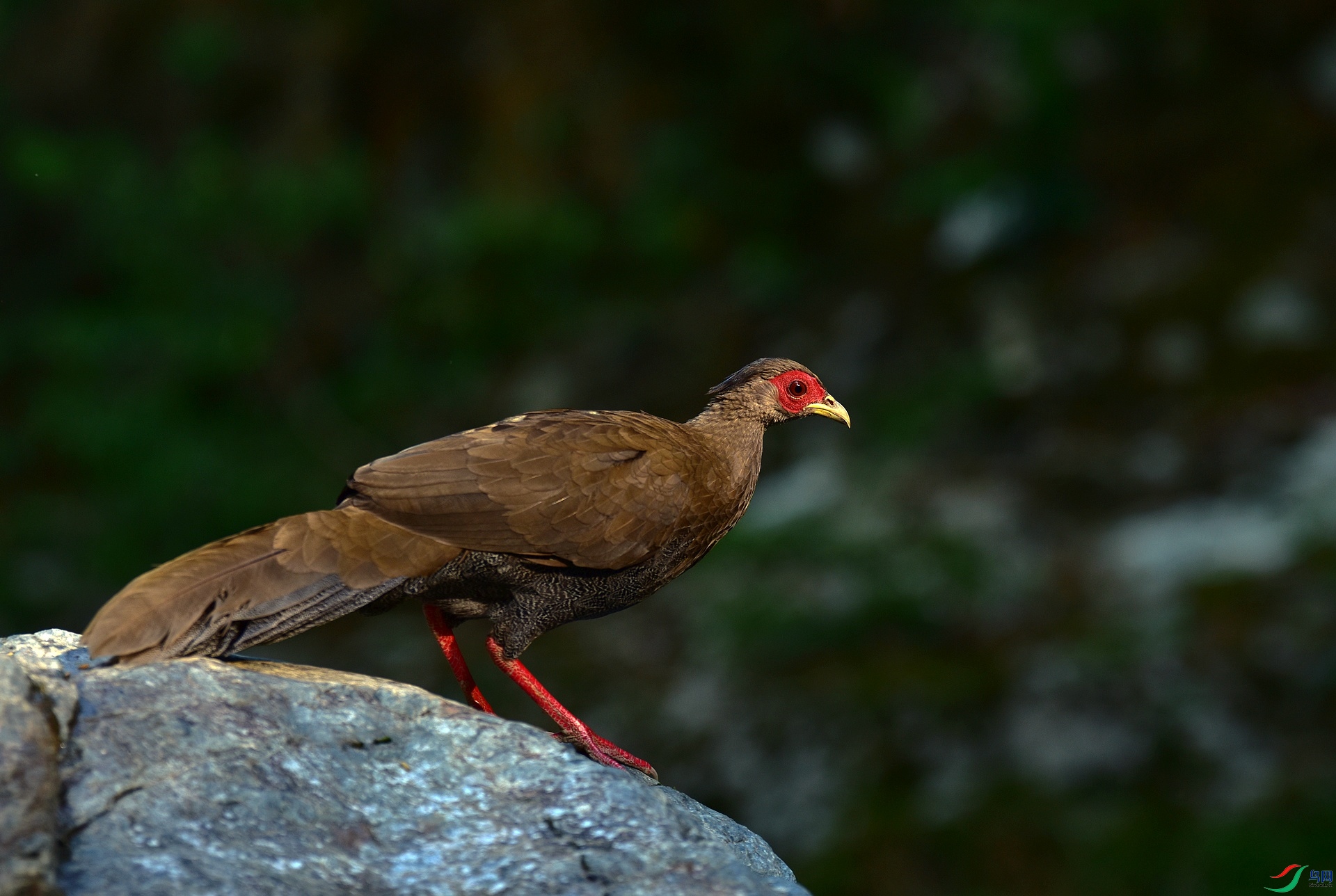 D8I_5435.jpg