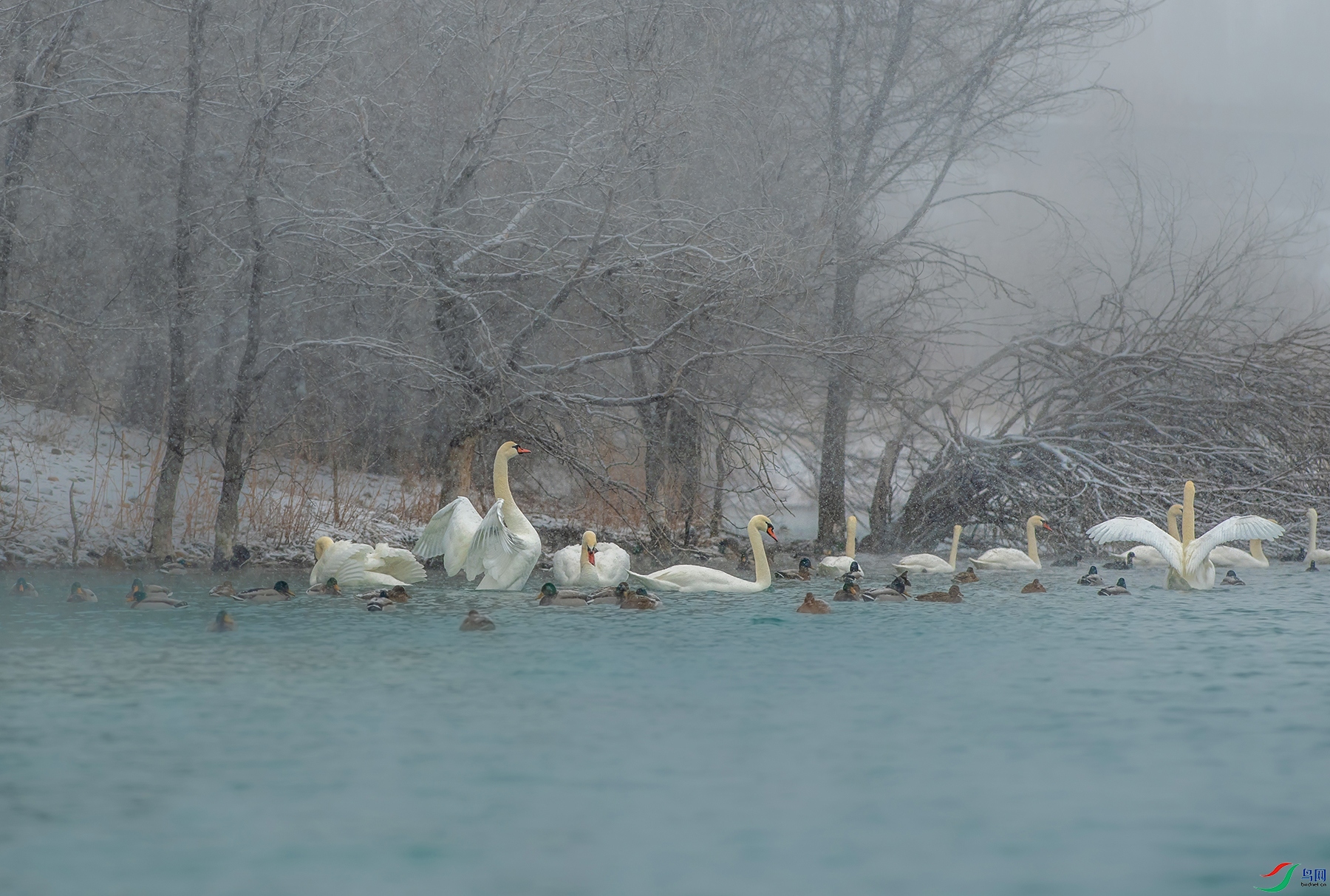 DSC_52541.jpg