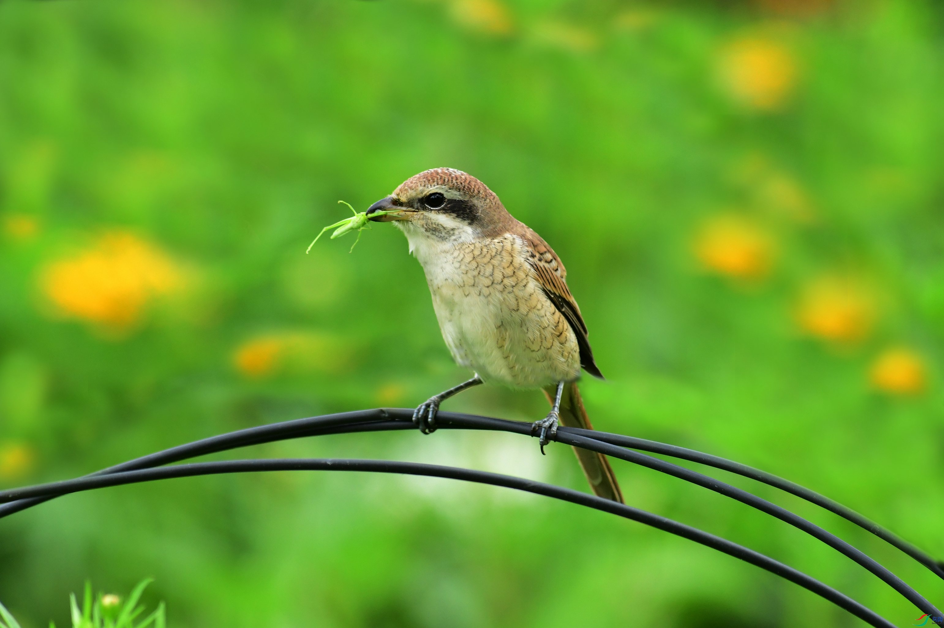 DSC_3846.JPG