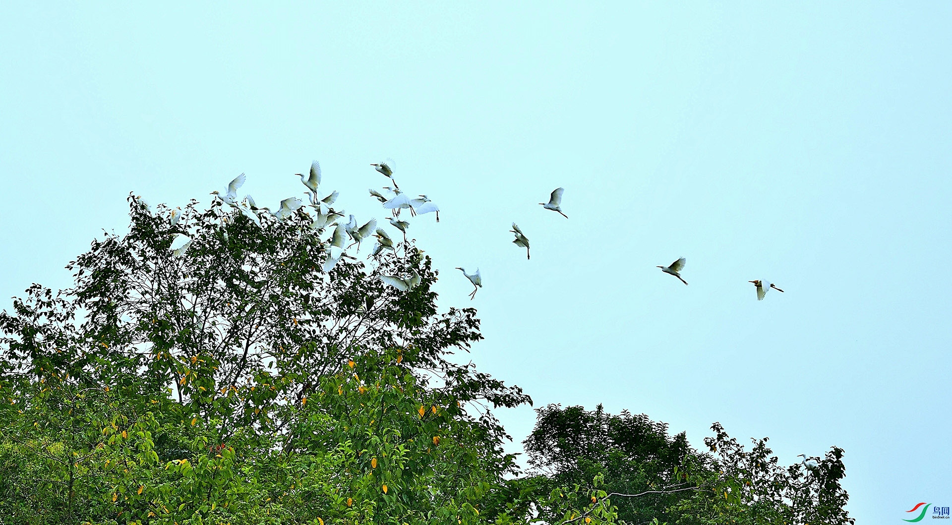 _DSC9283.jpg