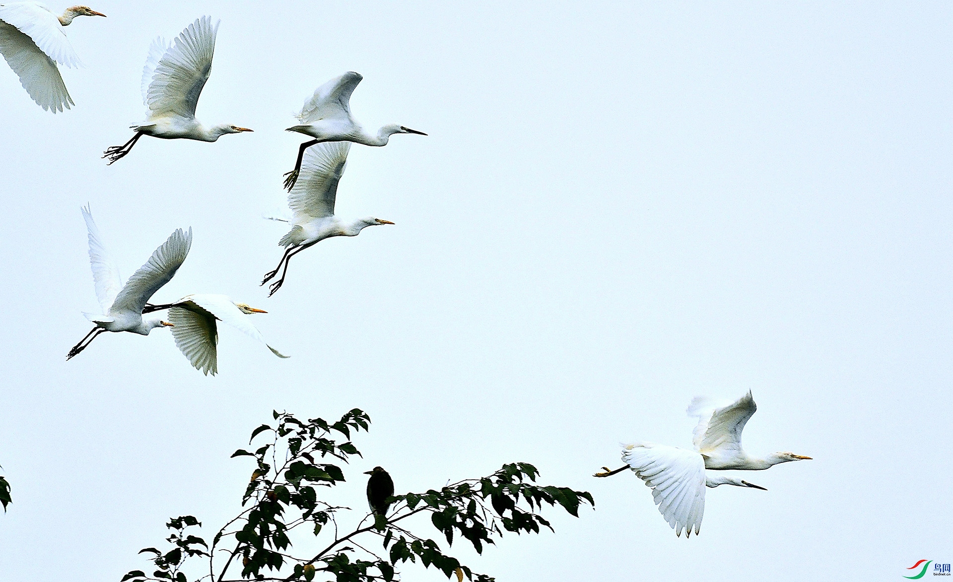 _DSC9313.jpg