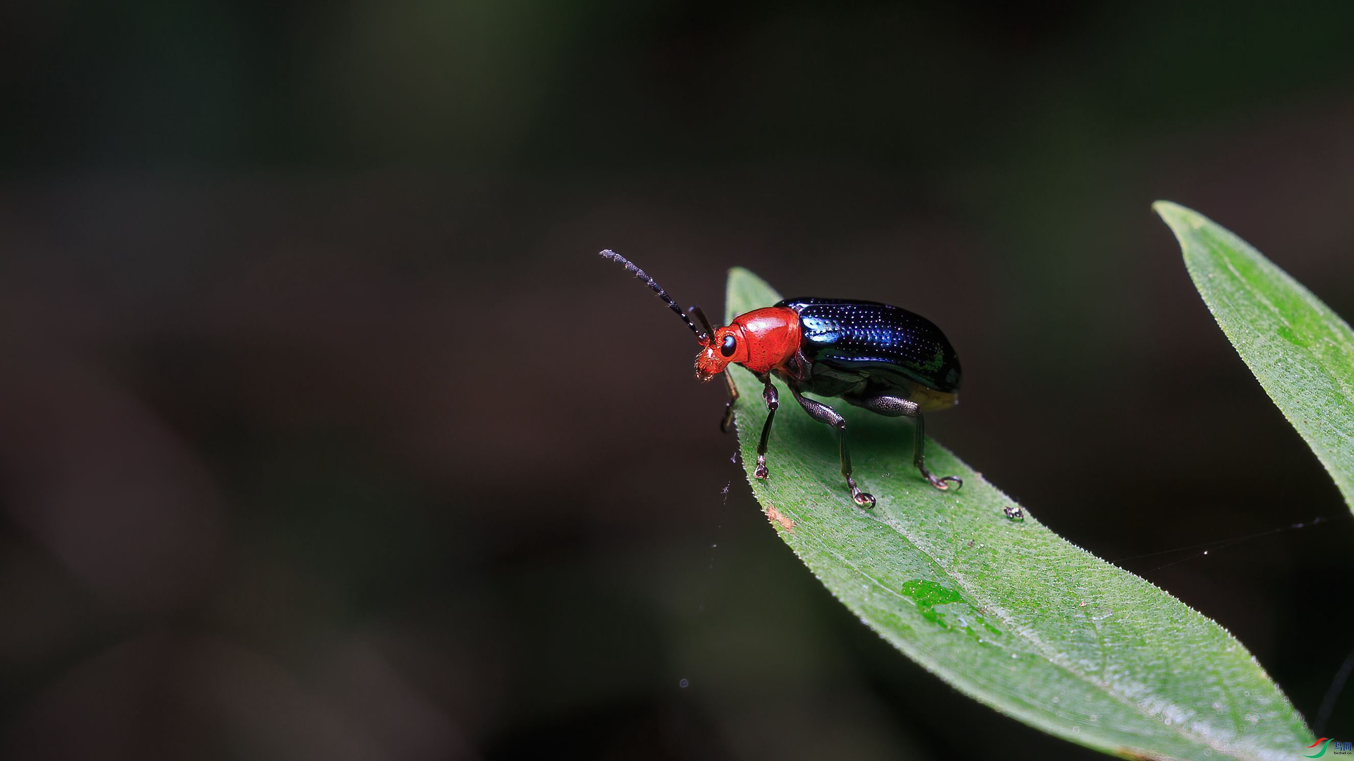 7G9A5745-1_����.jpg