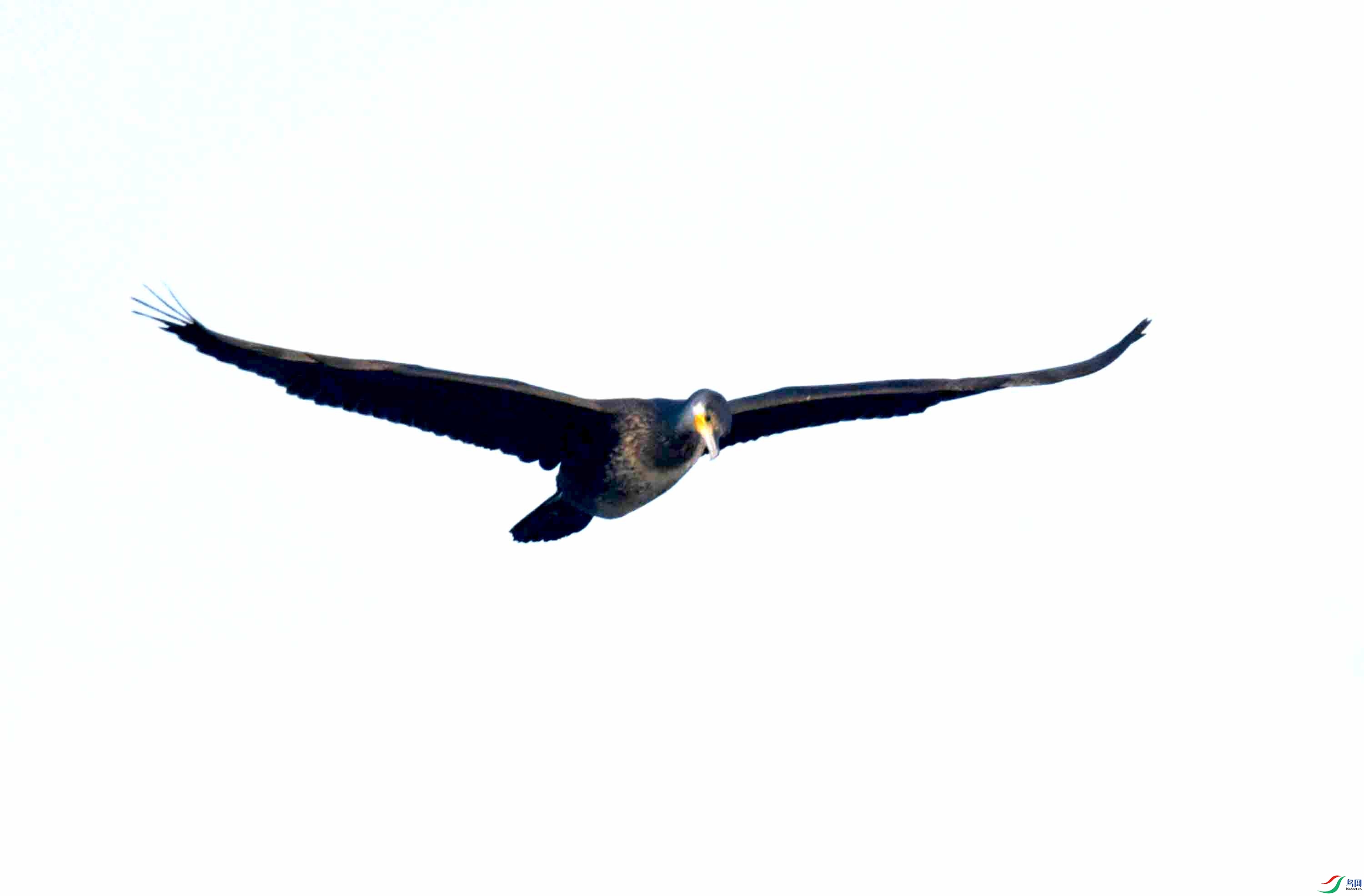 DSC_9393.JPG