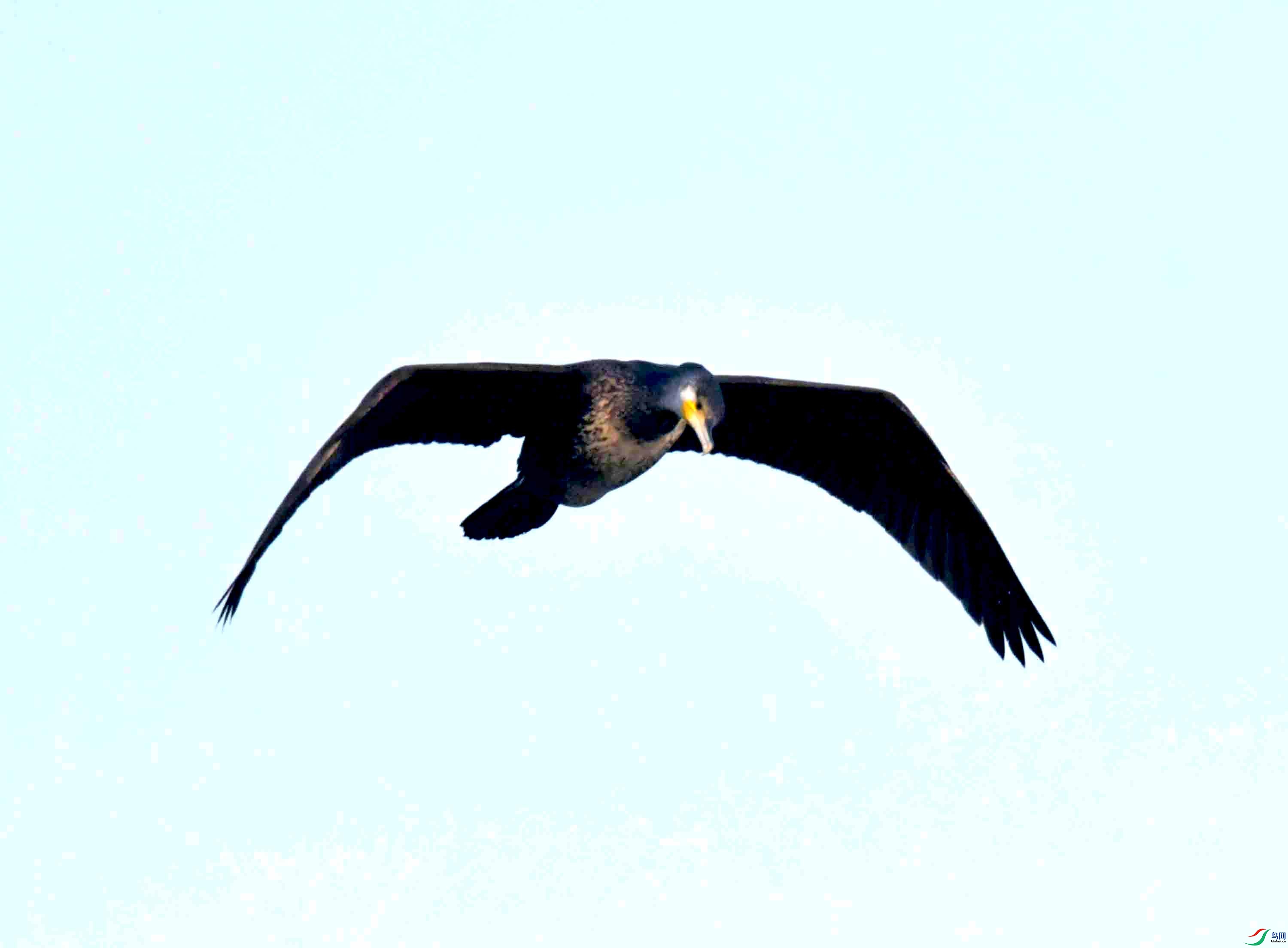 DSC_9394.JPG