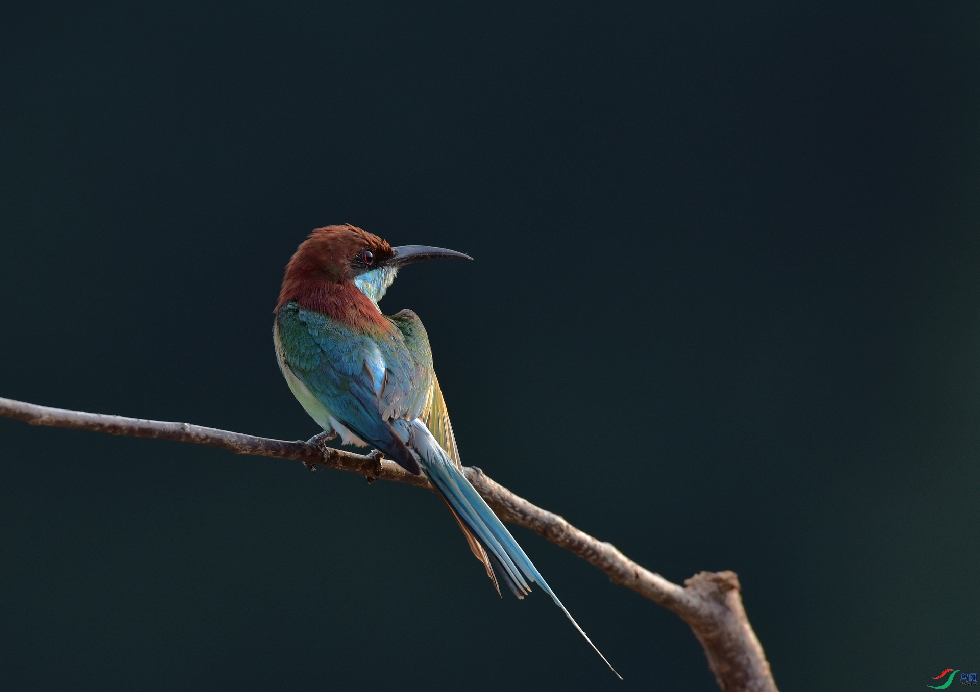 D8I_3058.jpg