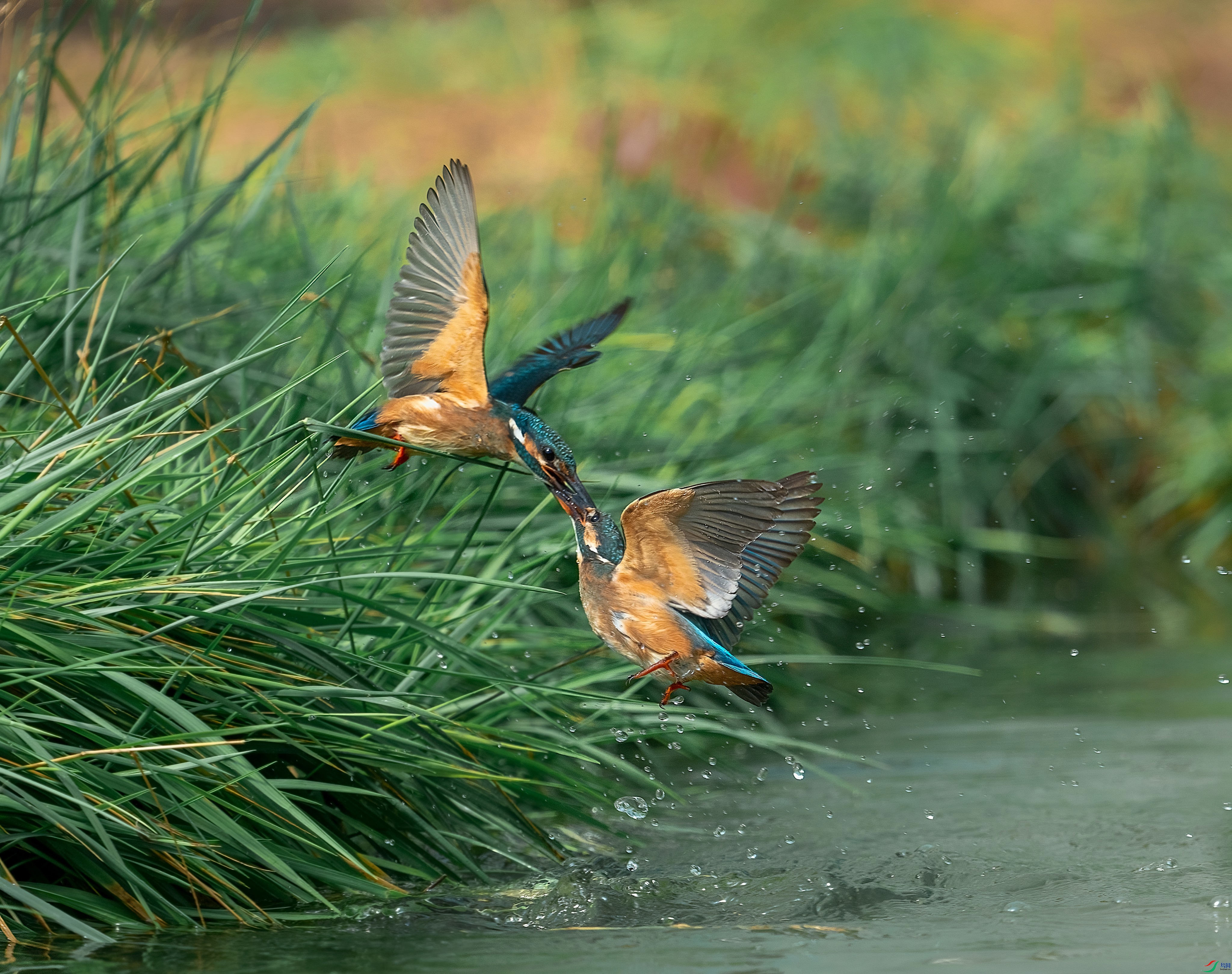 DSC03115_polarr_1.jpg