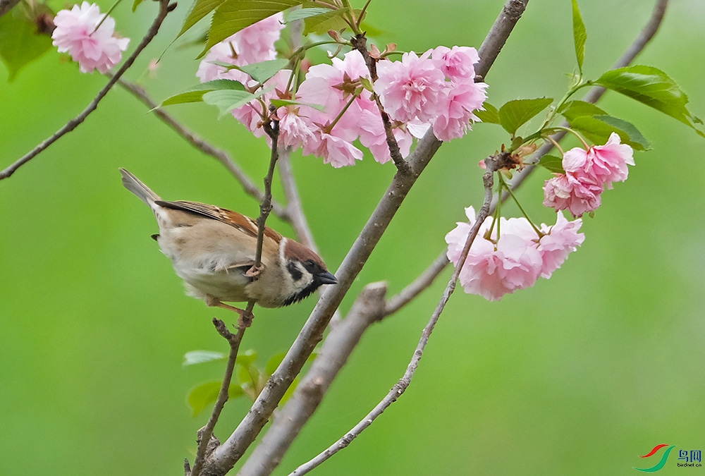 DSCF1108.1.jpg