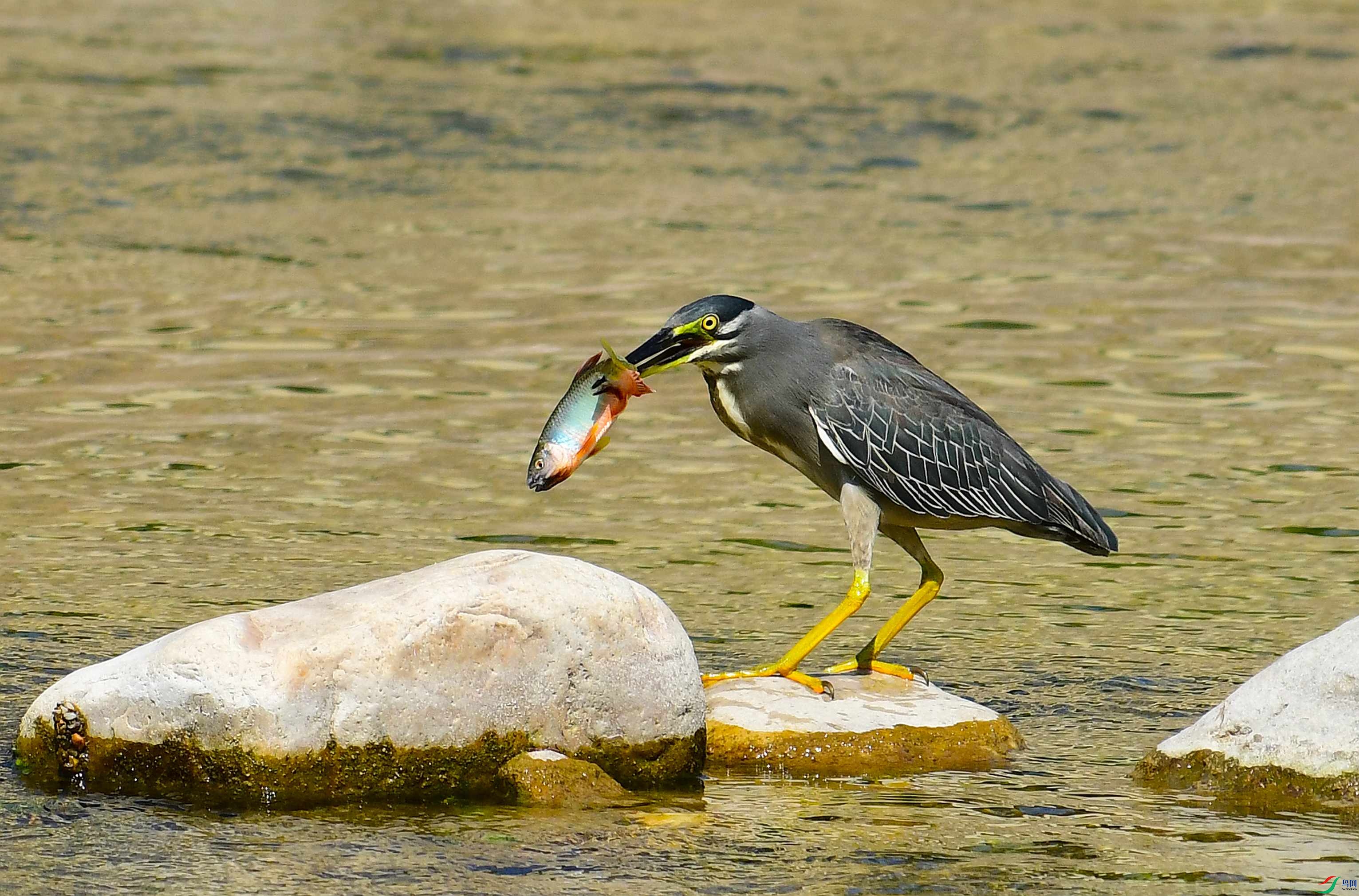 DSC_9674.JPG