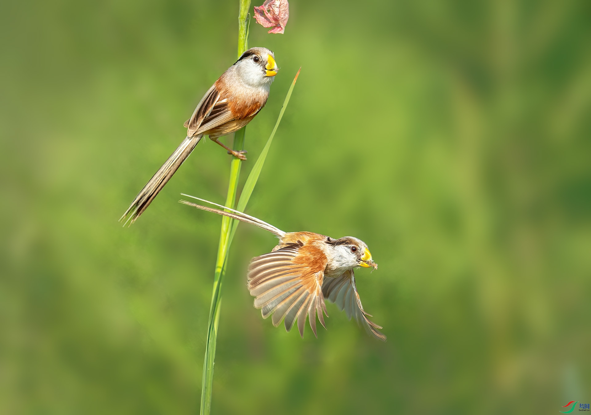 DSC_4500 -1.jpg