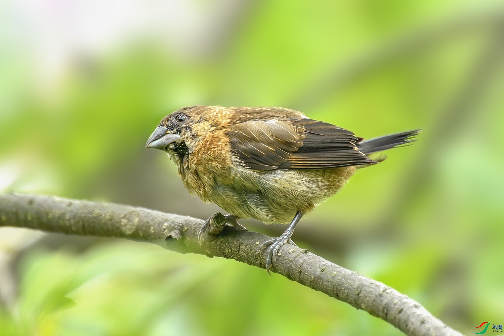 DSC_2650.jpg