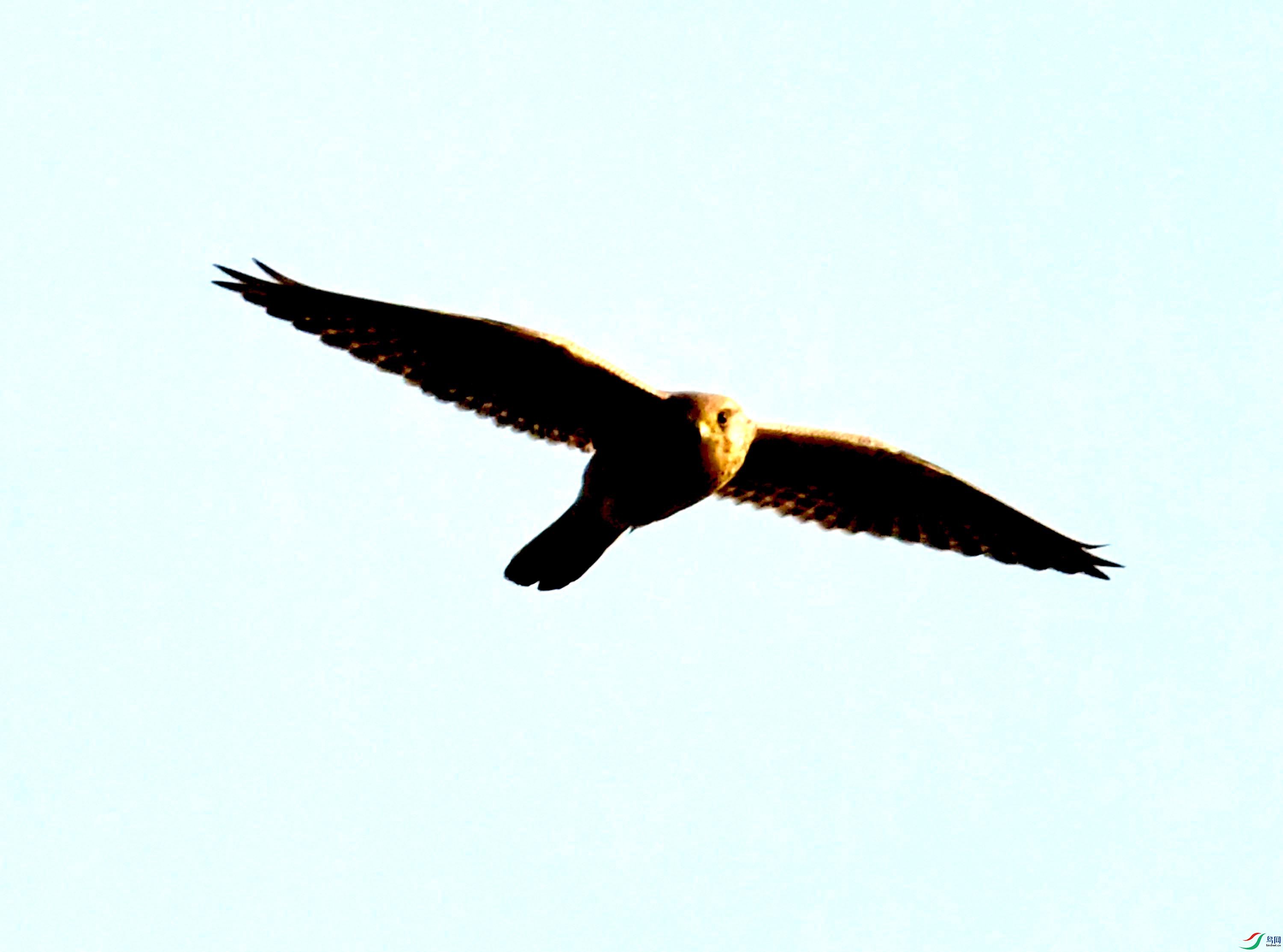 DSC_0034.JPG