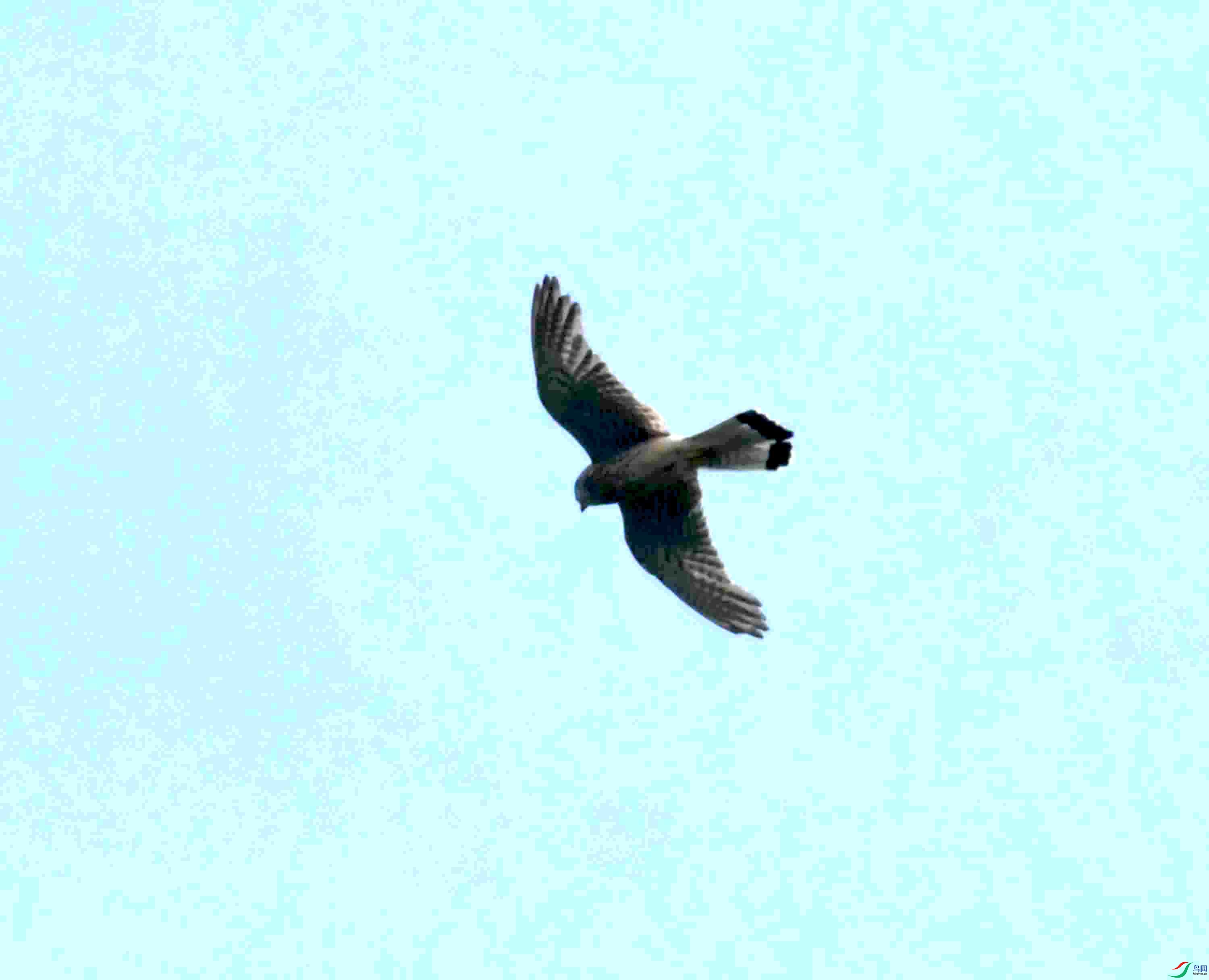 DSC_0608.JPG